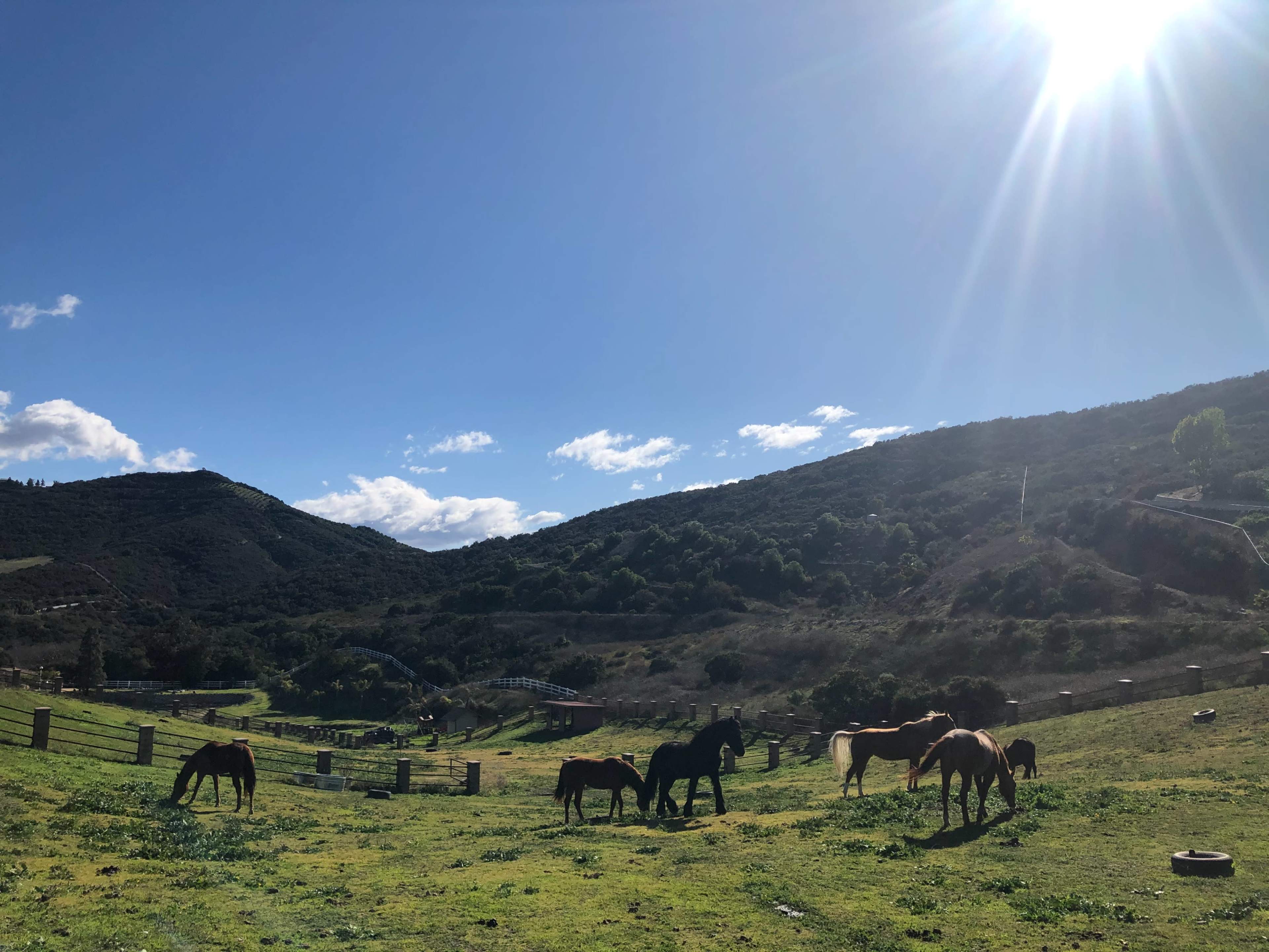 Rustic Horse Ranch with Scenic Views Image in Murrieta, Murrieta, CA