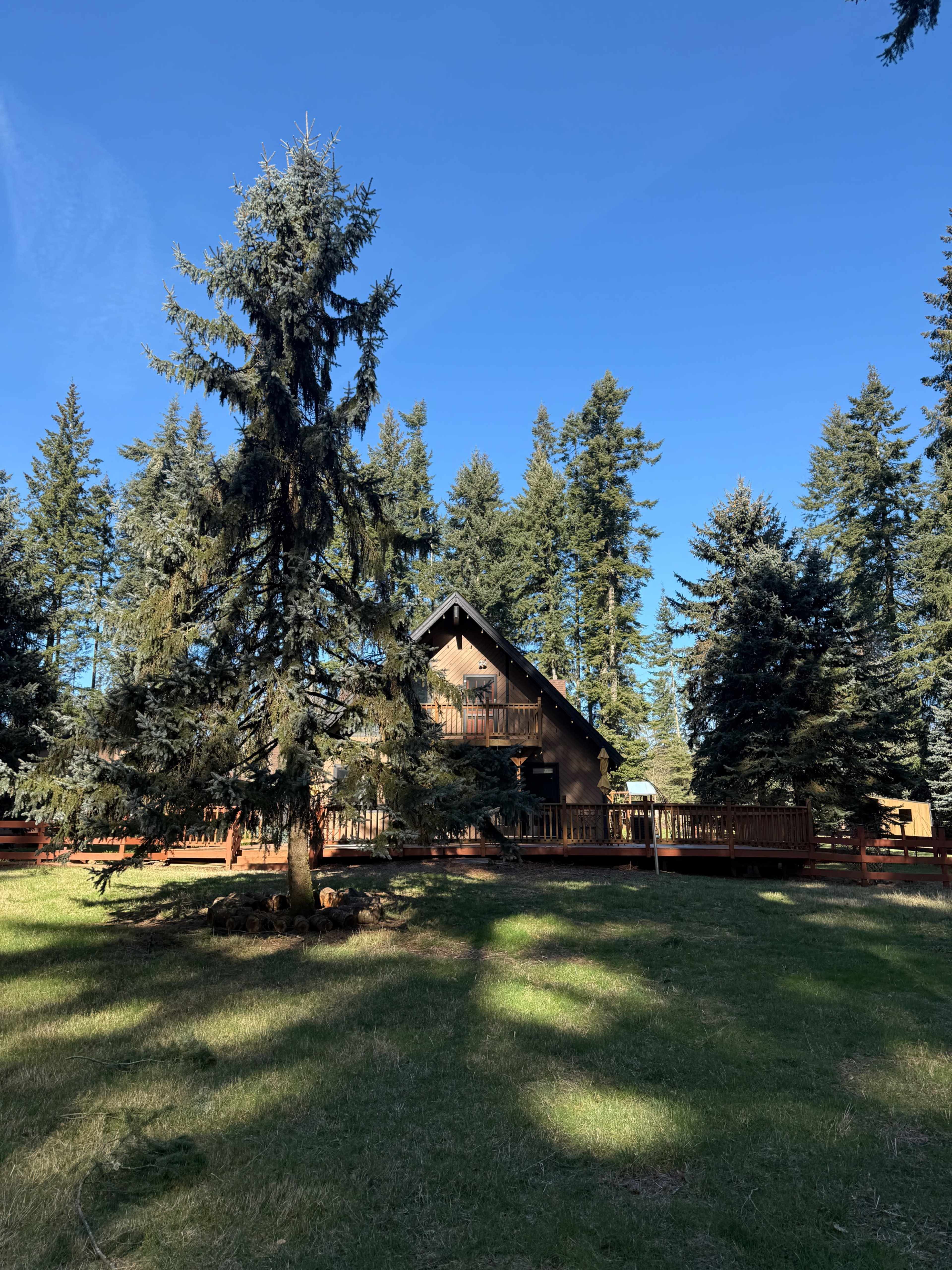 A wooden cabin with a peaked roof is surrounded by tall evergreen trees and a grassy area under a clear blue sky.