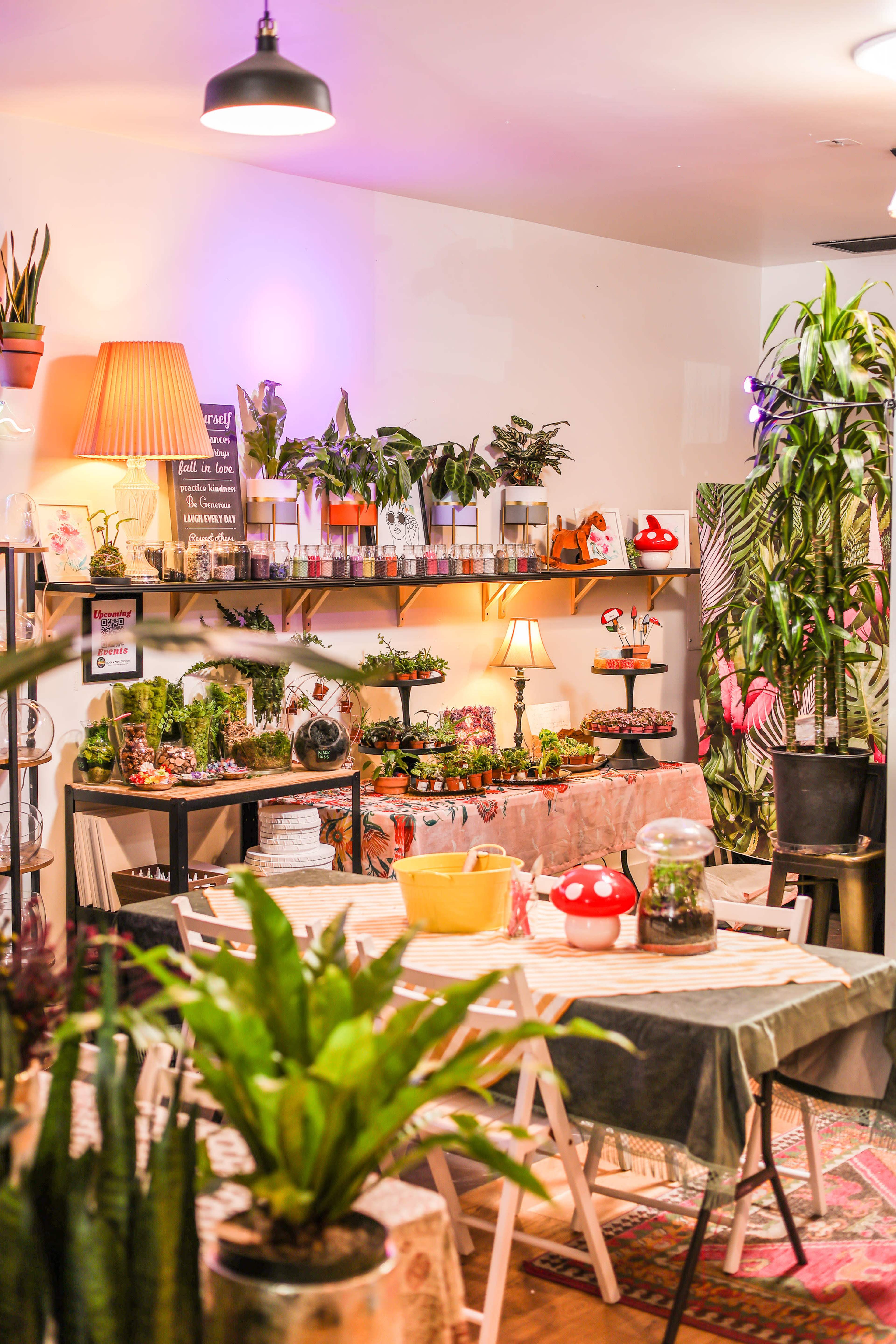A brightly lit indoor plant shop features shelves adorned with various plants, decorative items, and a table set with potted plants and a lamp.