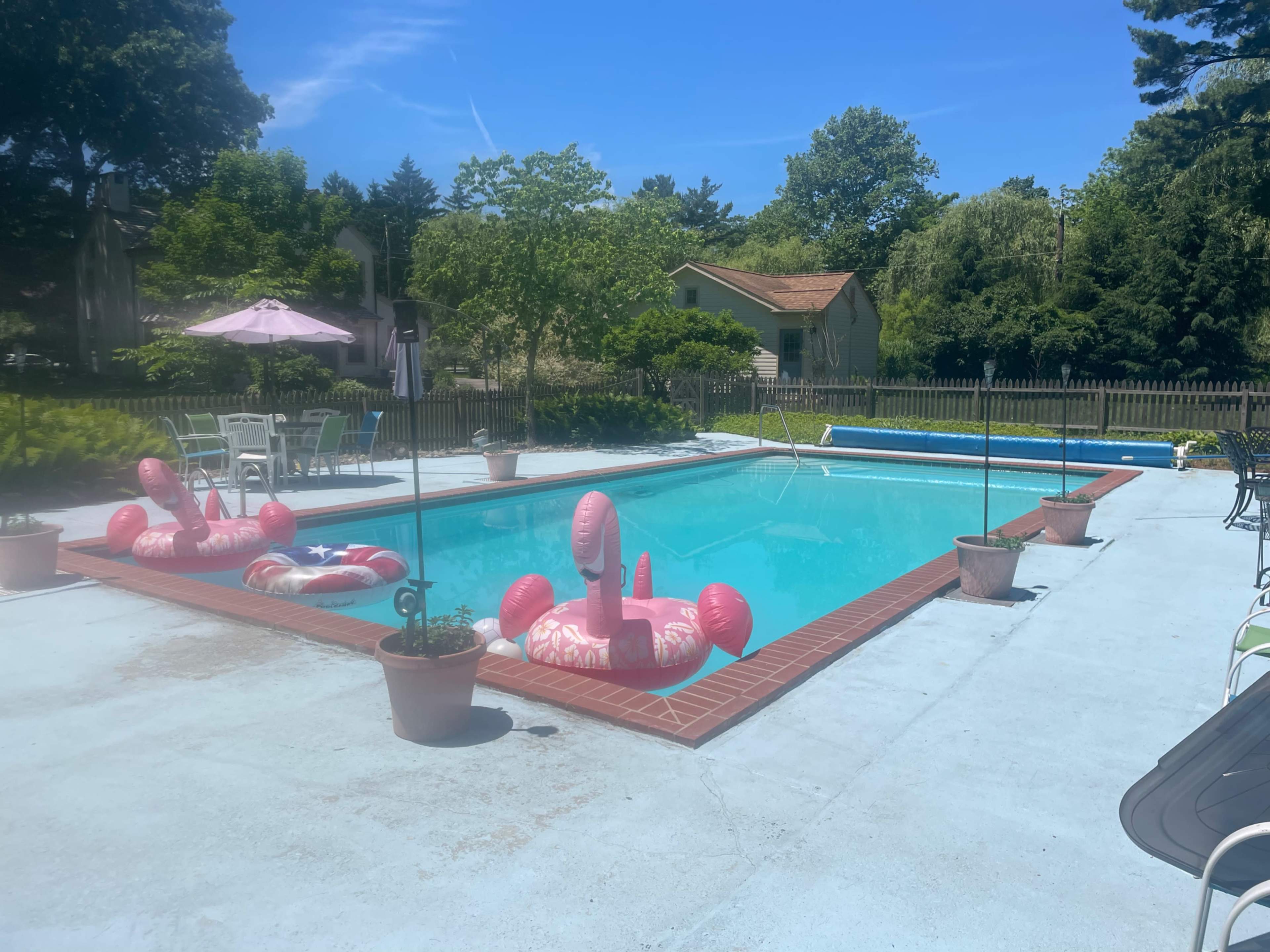 A swimming pool surrounded by pink inflatable flamingo floats, patio chairs, and potted plants, set in a green backyard.