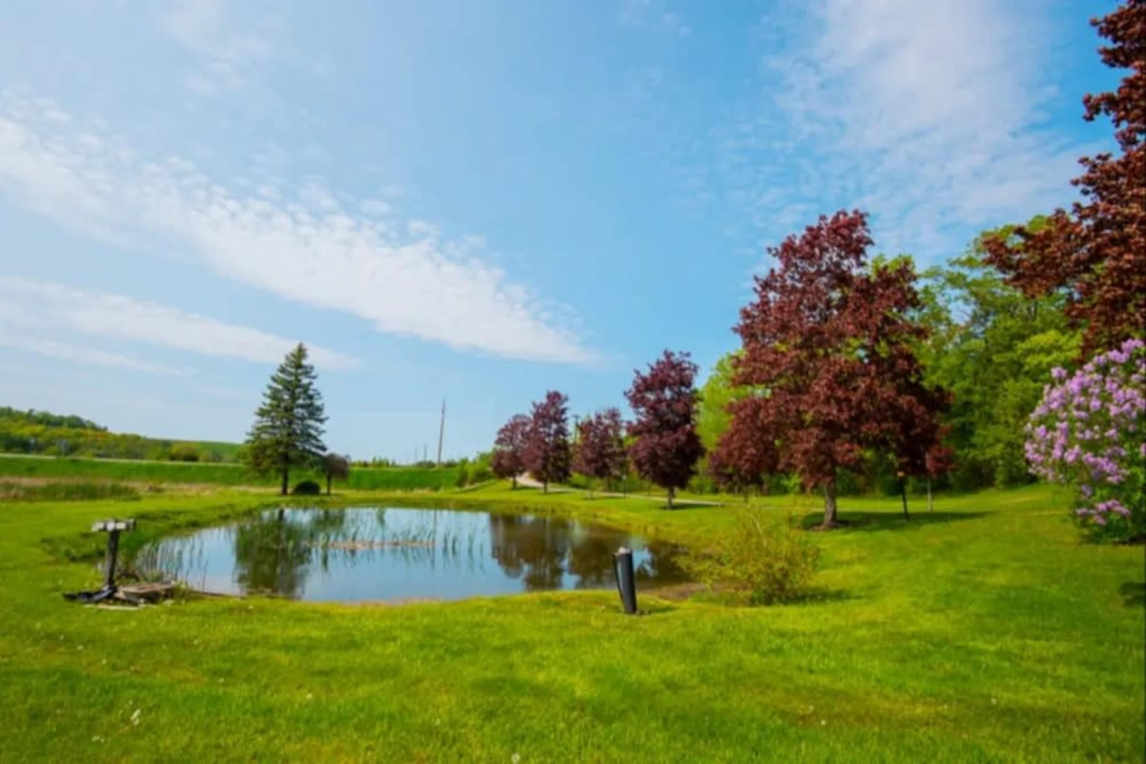 A serene landscape with a small pond surrounded by greenery and several trees under a blue sky.