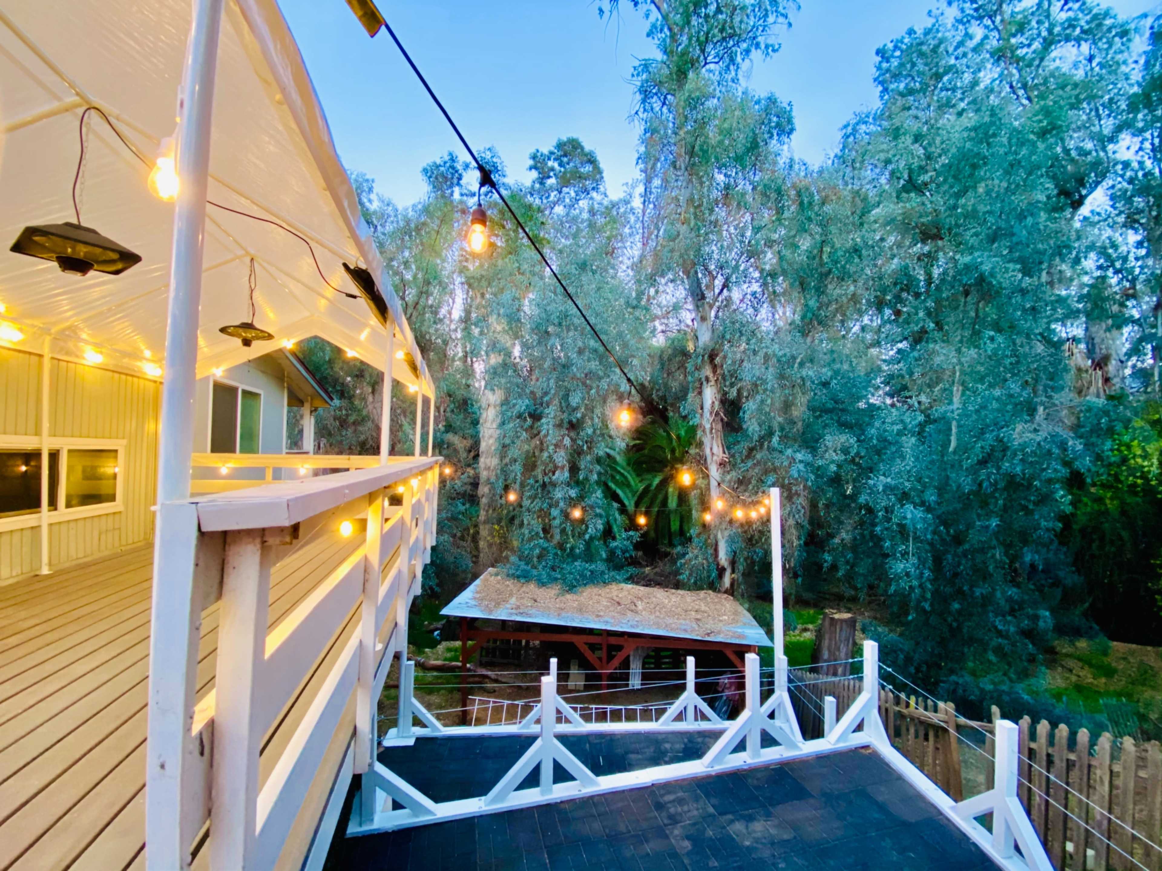 A deck with string lights overlooks a wooded area with eucalyptus trees and a shed in the background.