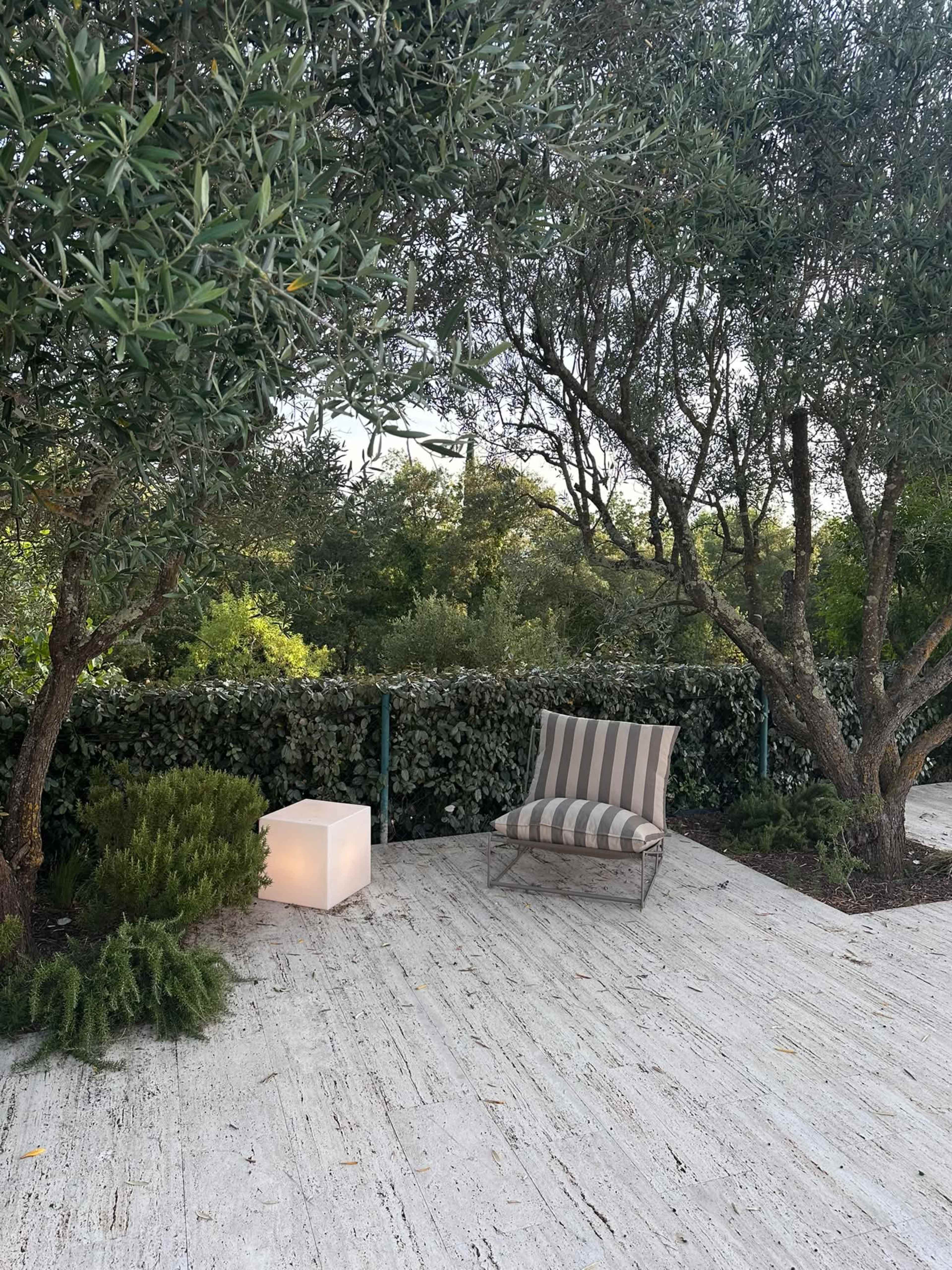 A striped lounge chair sits beside a glowing cube light in a garden surrounded by olive trees and lush greenery.