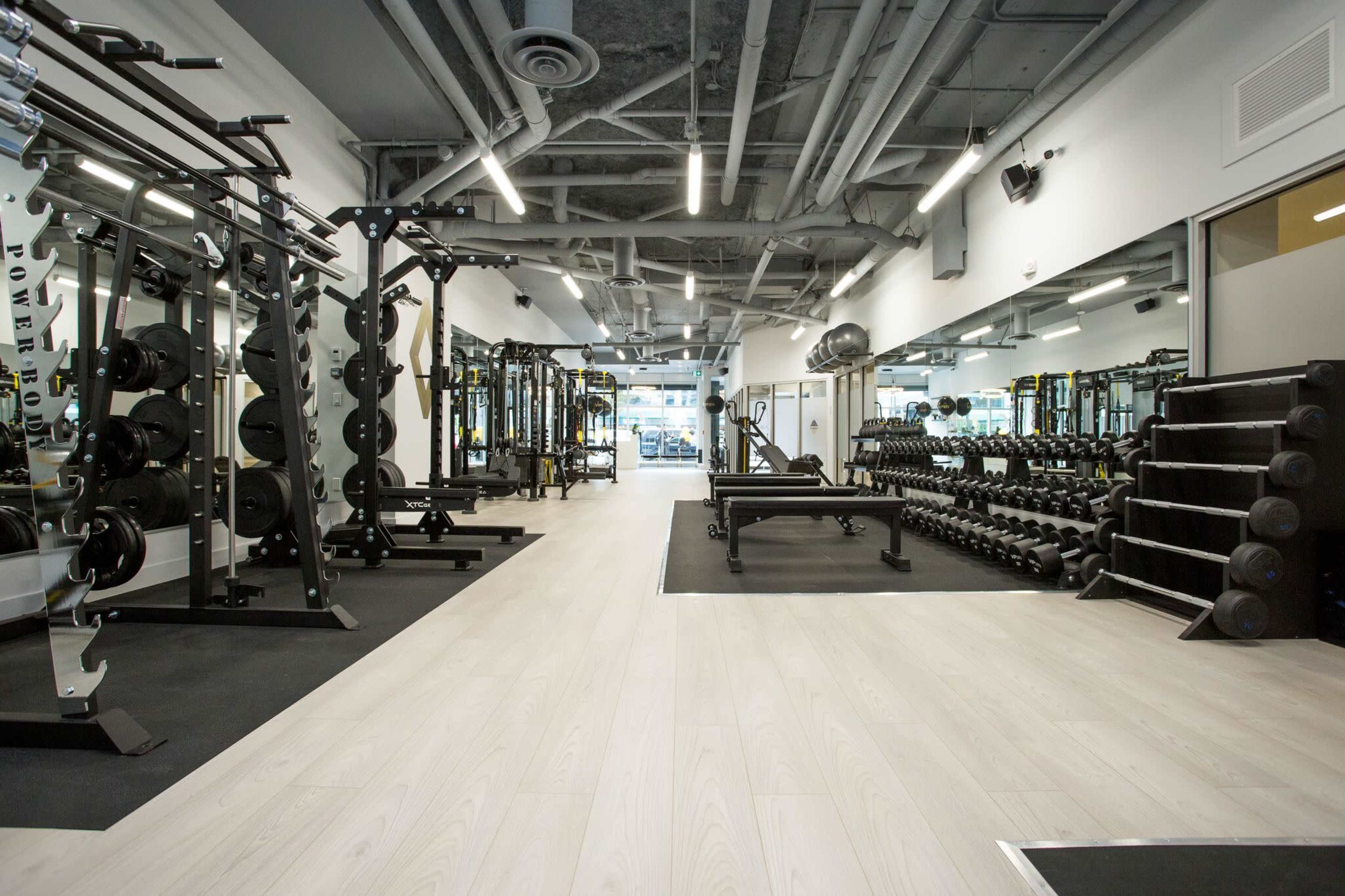 The image shows a modern gym interior equipped with various weightlifting and exercise machines, along with free weights organized on racks.