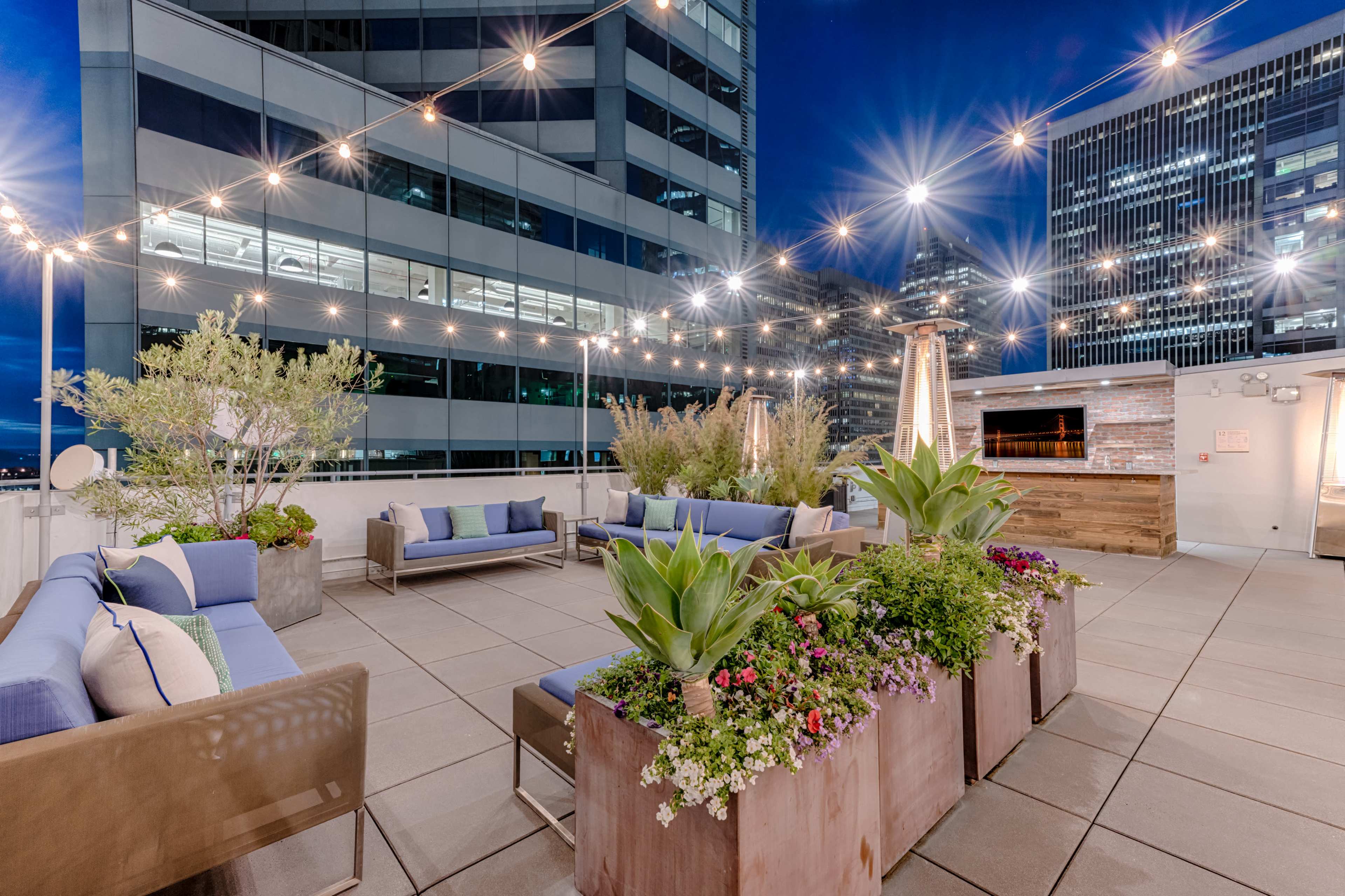 The rooftop terrace features seating areas surrounded by plants and string lights against a night skyline.