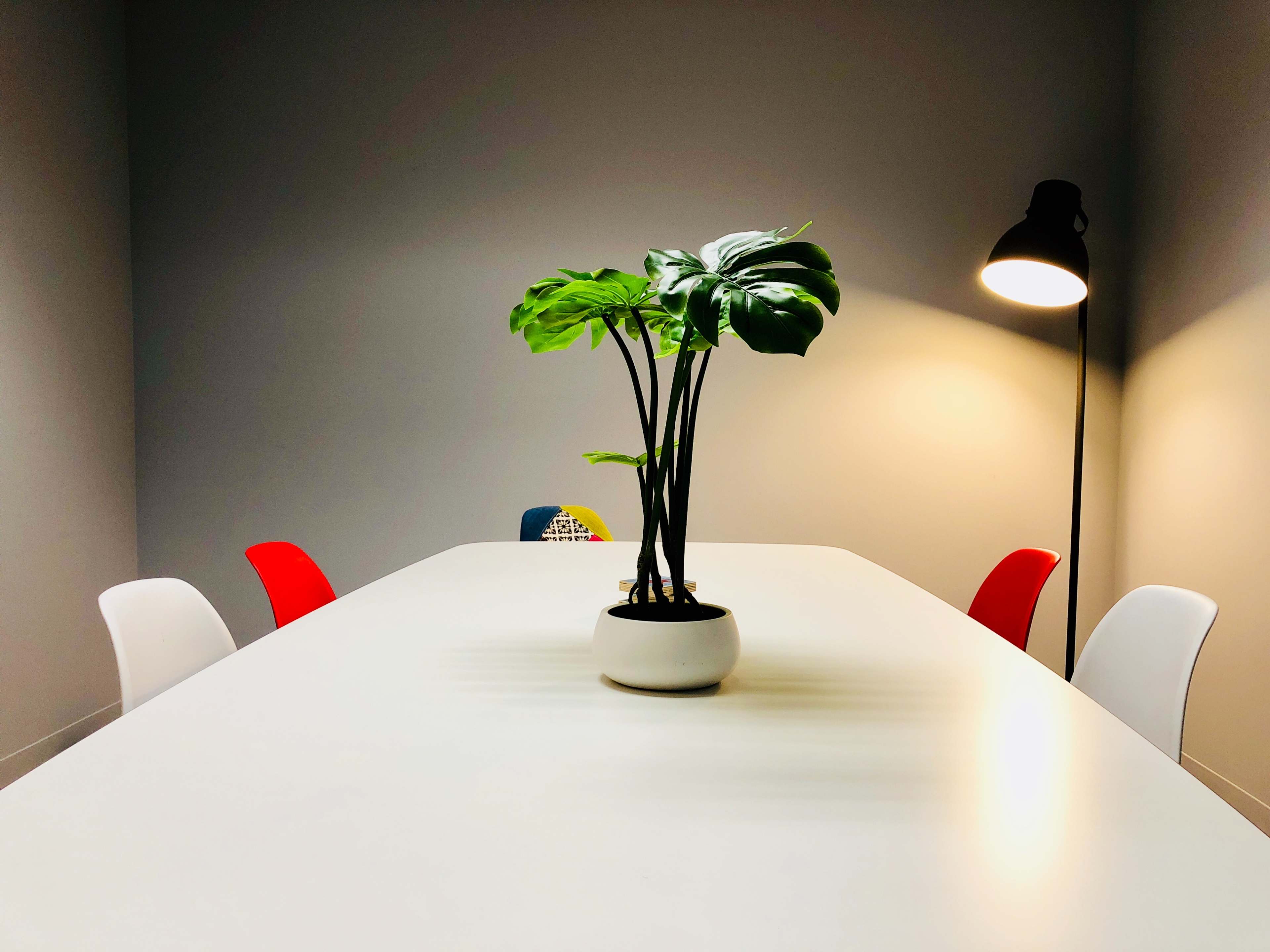A modern meeting room features a white table centered with a potted plant and surrounded by four chairs in red and white.