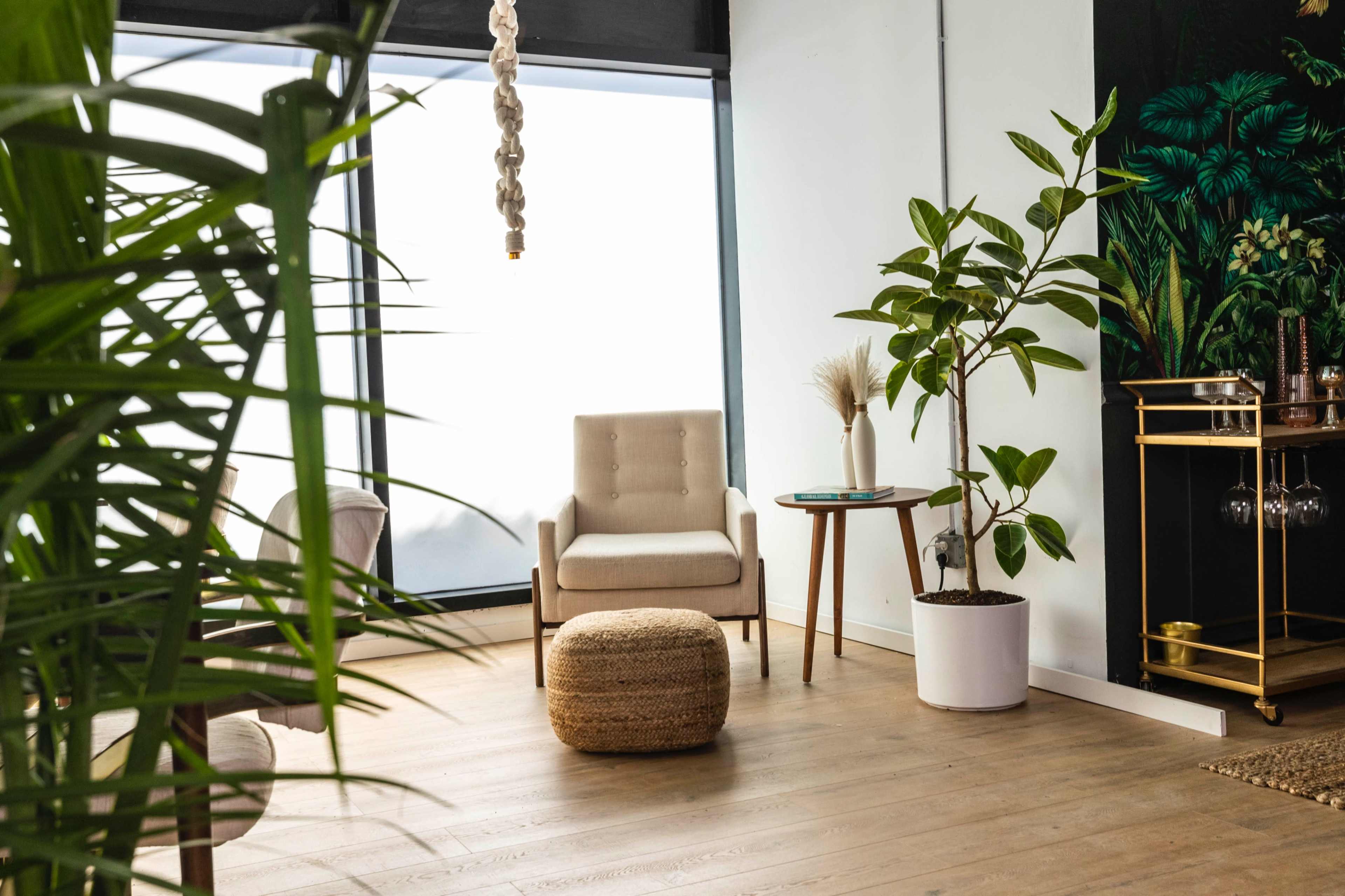 The scene features a modern indoor space with a chair, a small table, a potted plant, and a woven ottoman, surrounded by large windows and decorative elements.