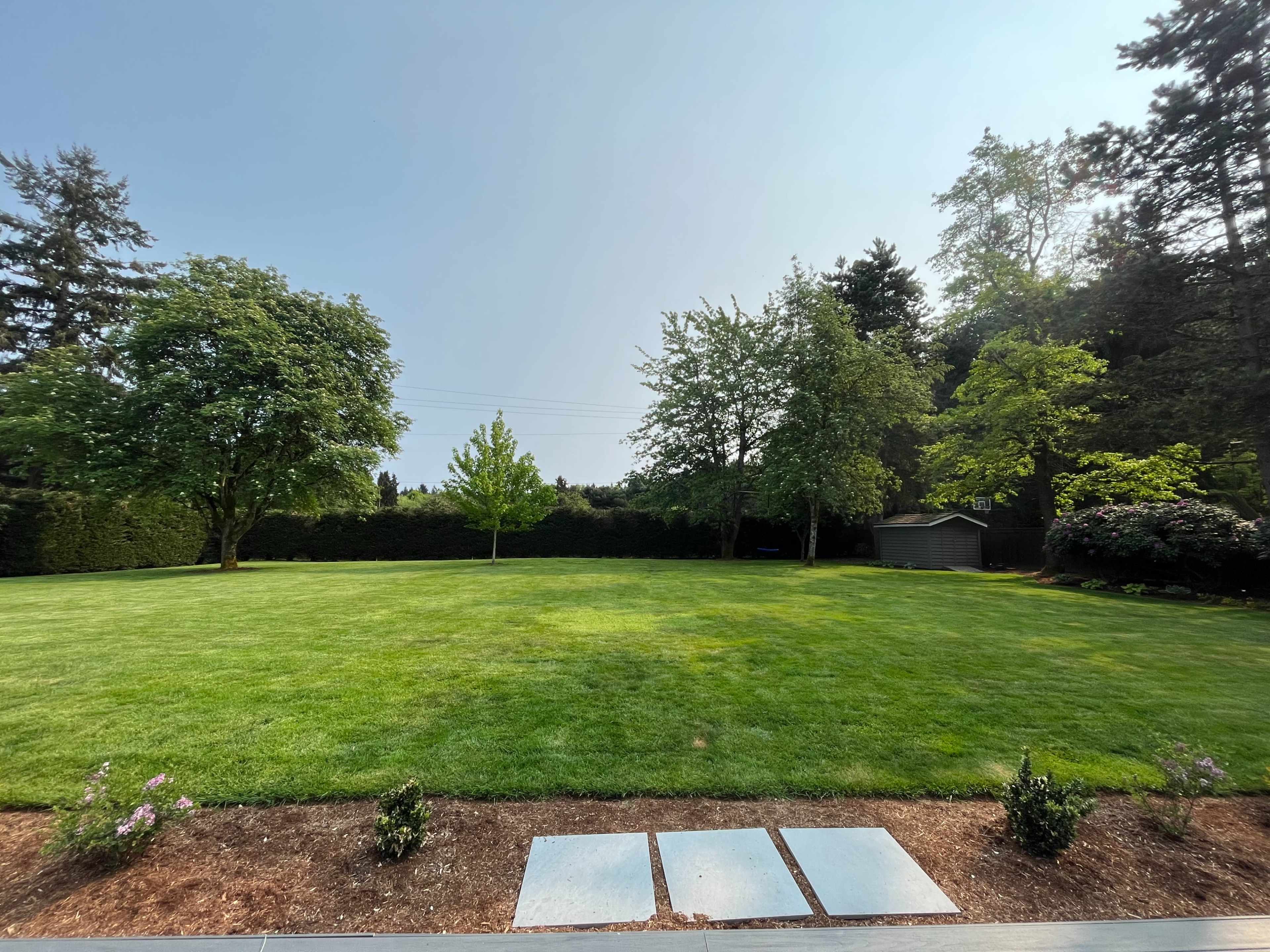 A spacious lawn with a few trees and a garden area, bordered by shrubbery and a small shed.