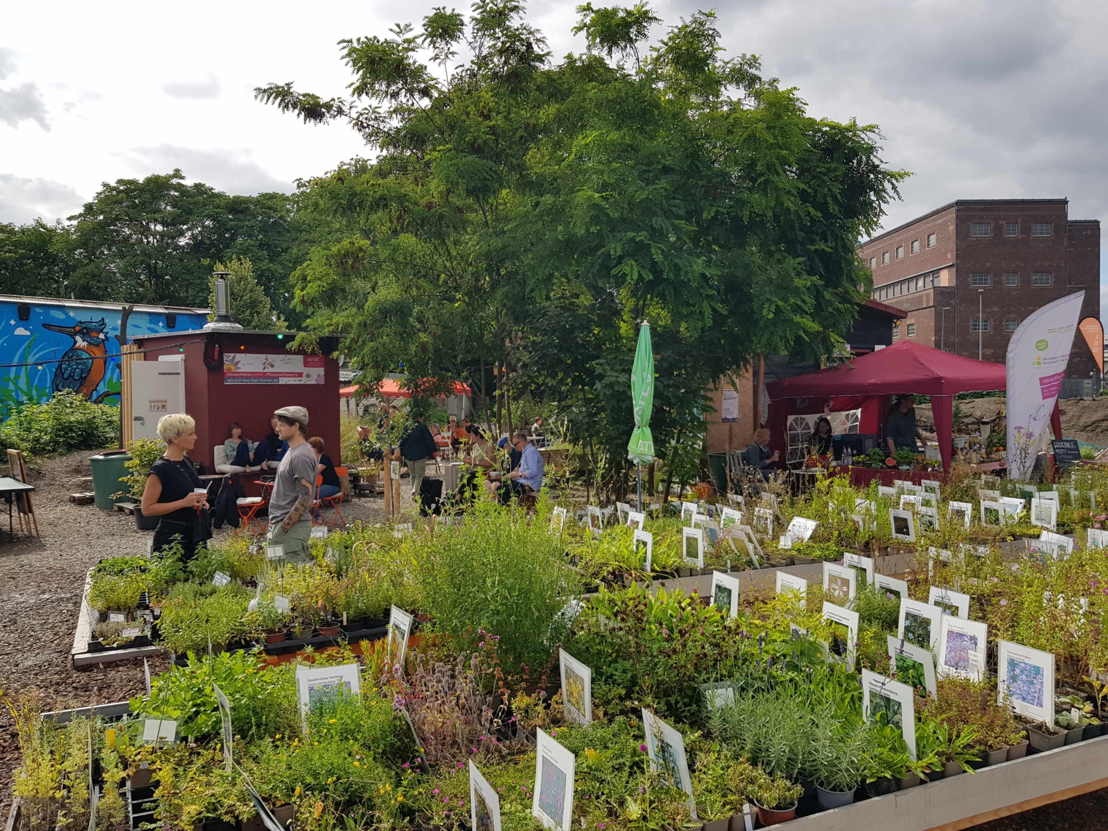 A community garden features various plants and herbs arranged in pots, with people interacting and shaded seating areas in the background.