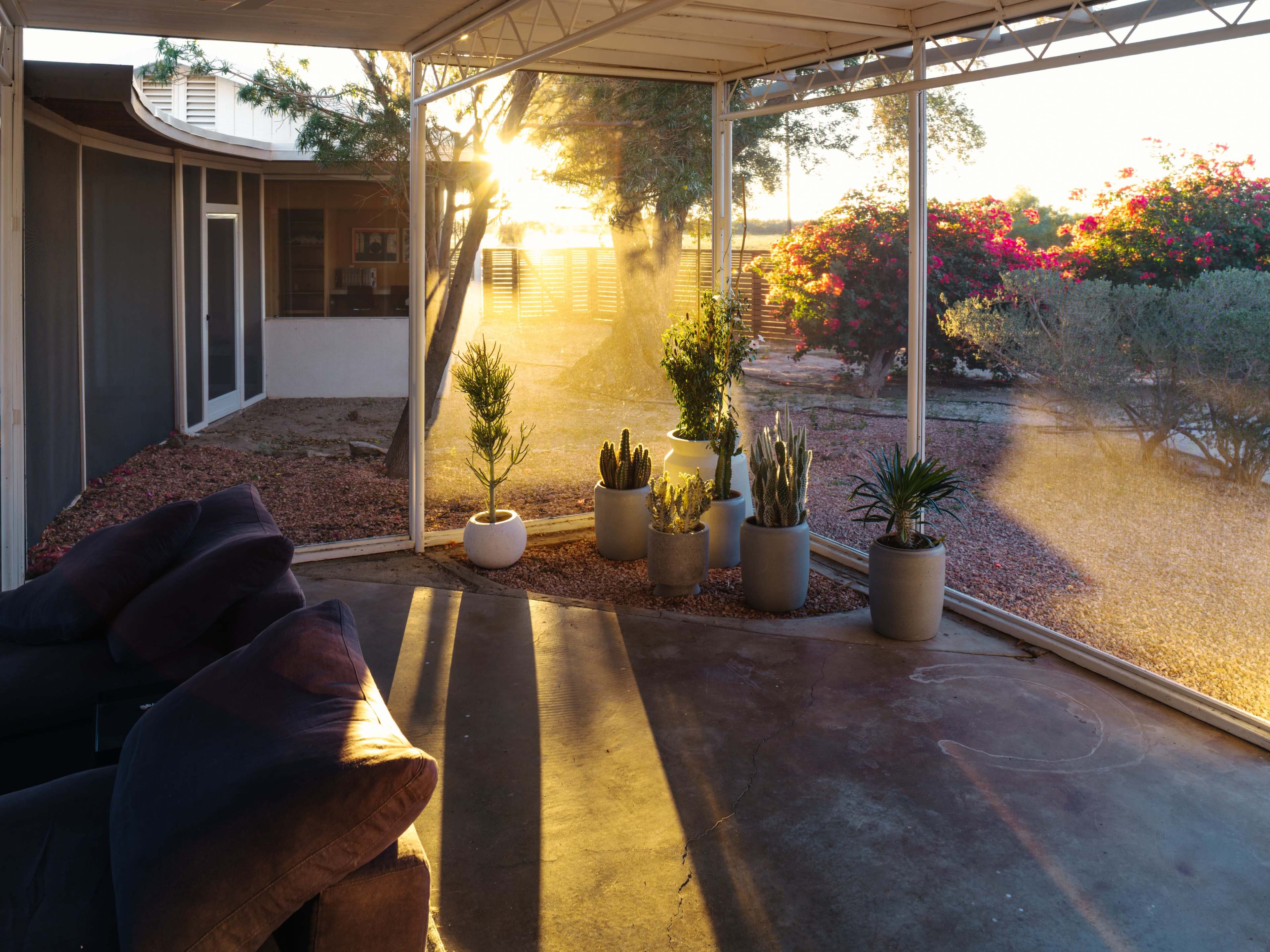 A sunlit porch features potted plants and a couch, with sunlight streaming through the mesh walls and casting long shadows.