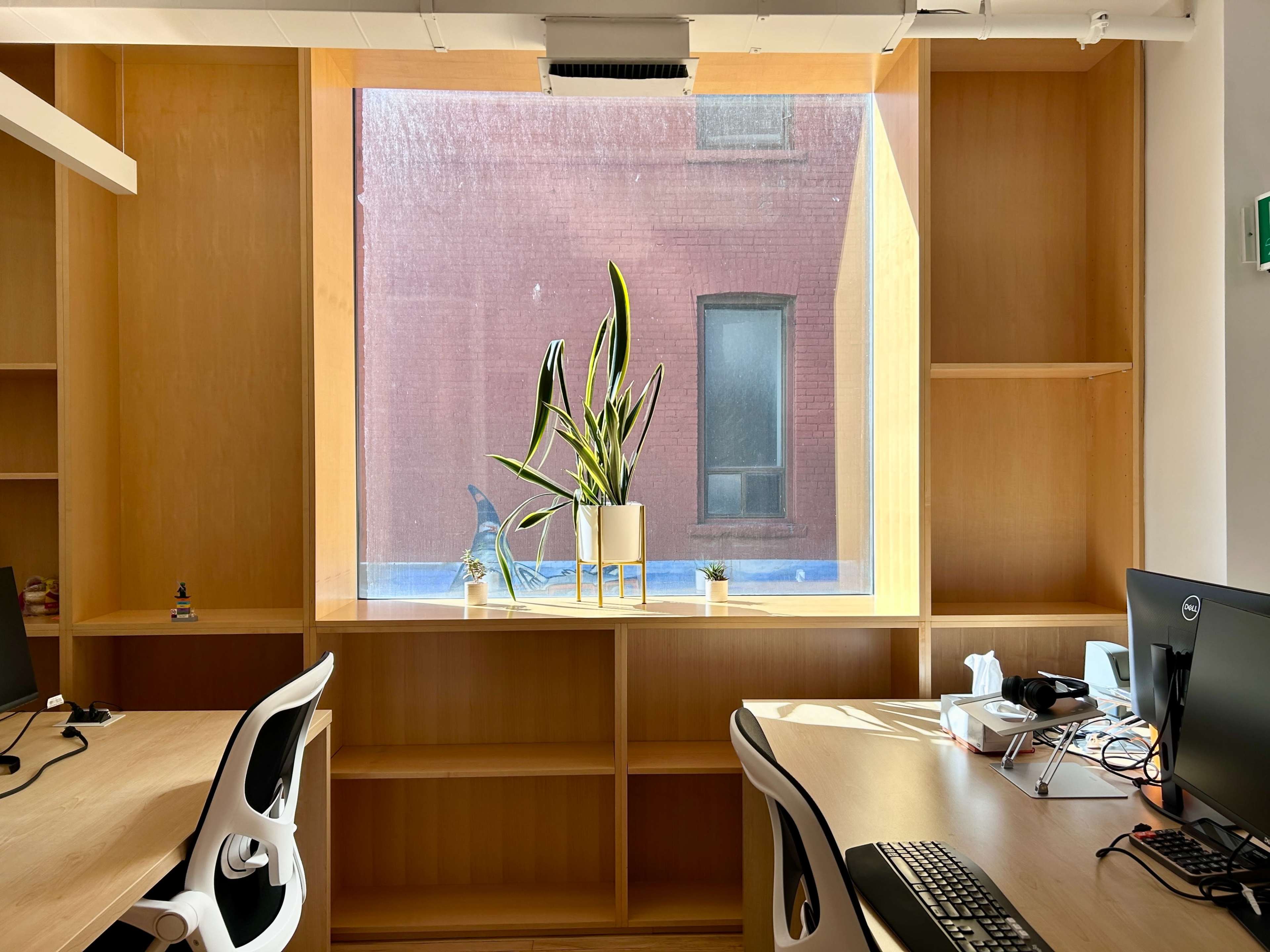 A spacious office interior with two workstations facing a large window illuminated by natural light, featuring a potted plant on a shelf.