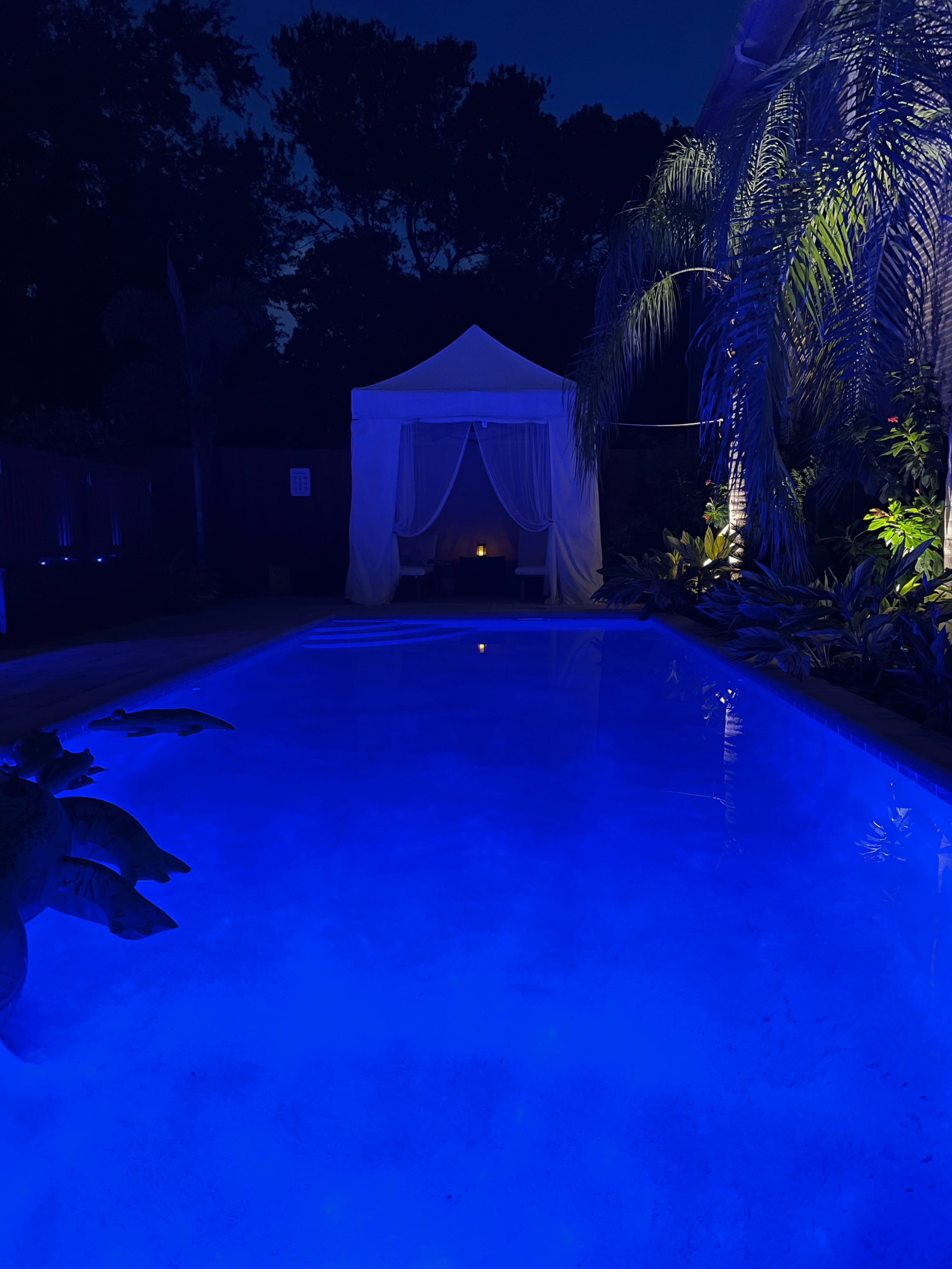A pool surrounded by greenery and a white canopy, illuminated with blue lighting, is set against a nighttime background.
