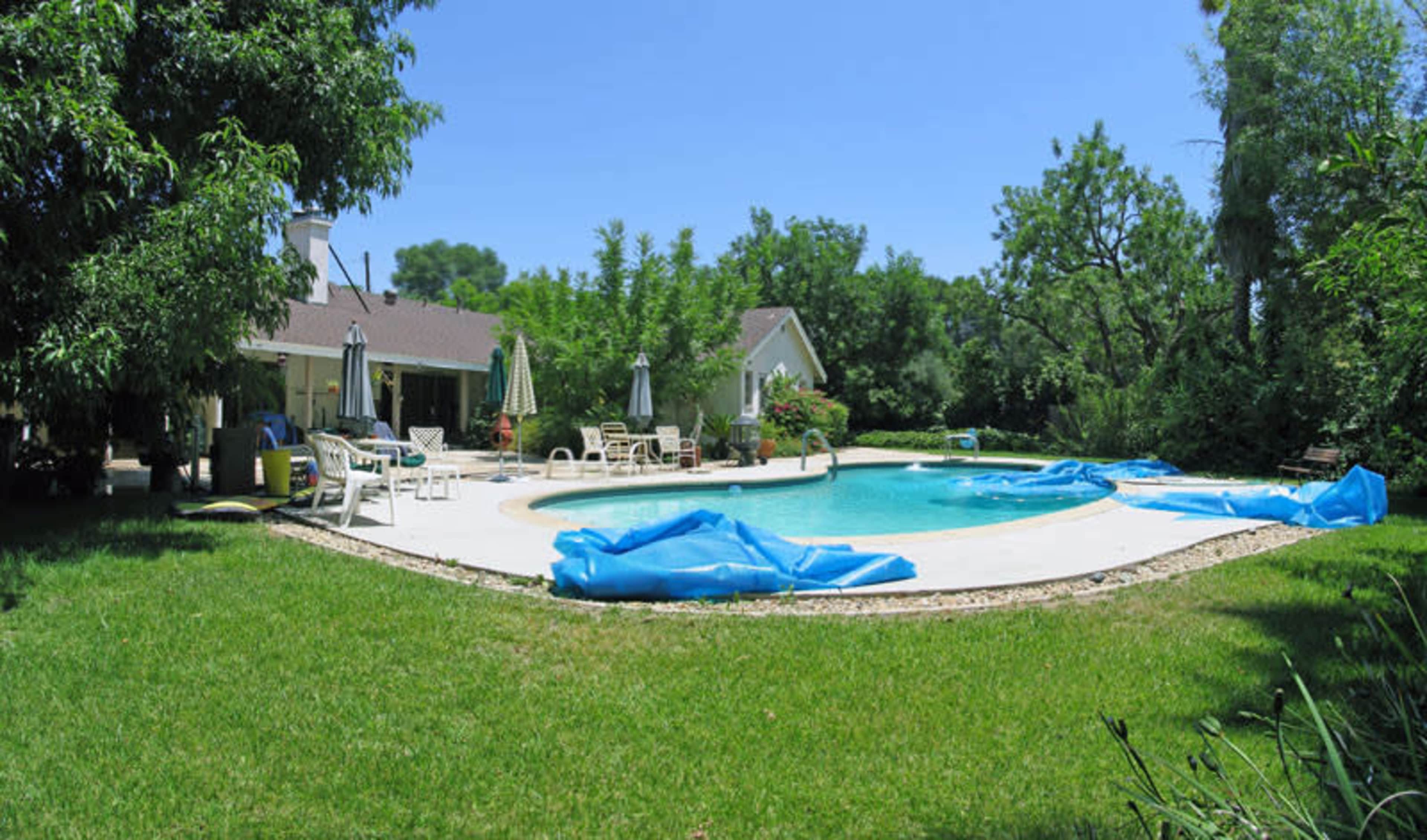 A backyard with a swimming pool surrounded by lounge chairs and shaded by trees.