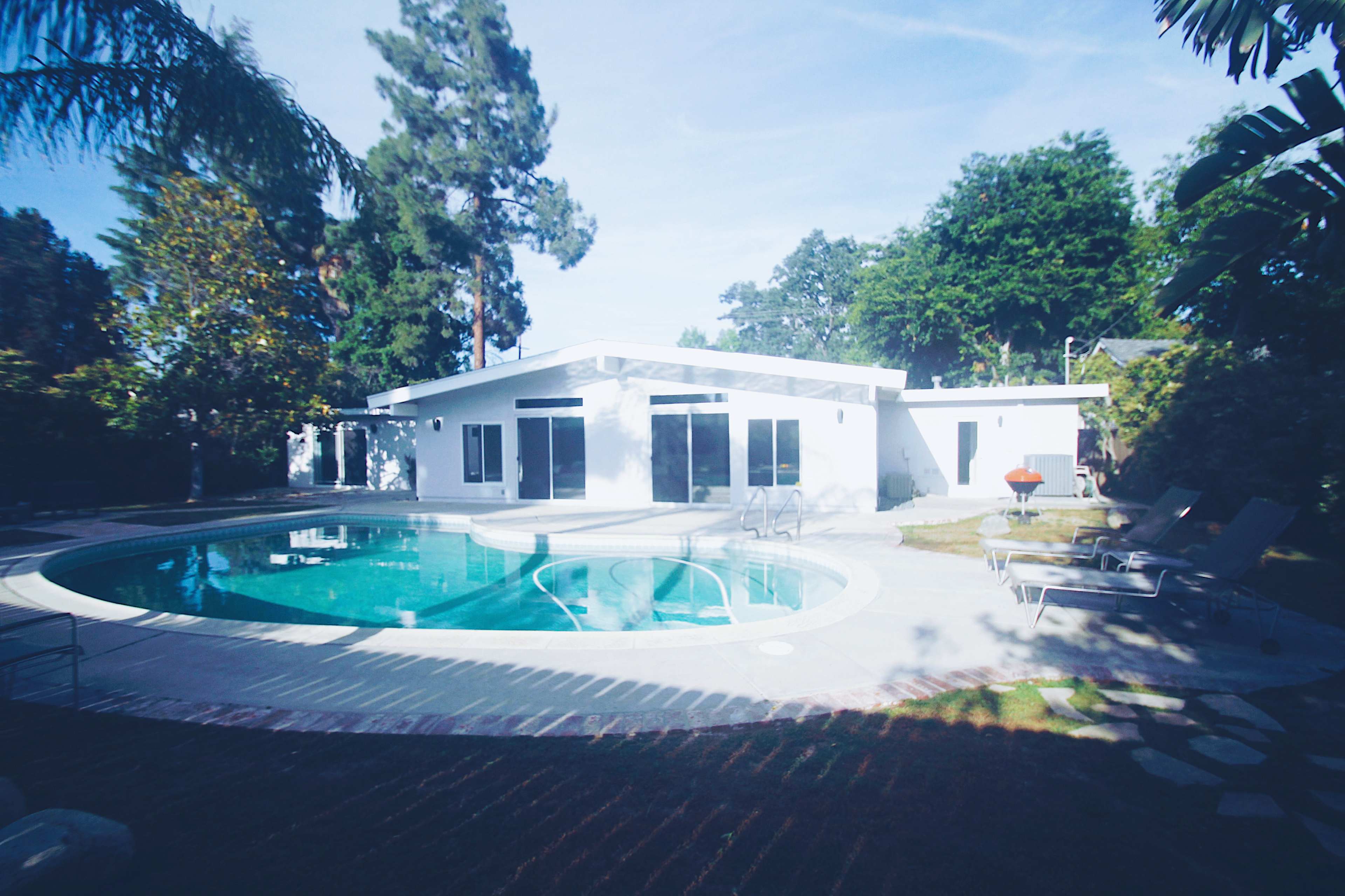 A modern white house with large windows is situated beside a circular swimming pool surrounded by palm and leafy trees.