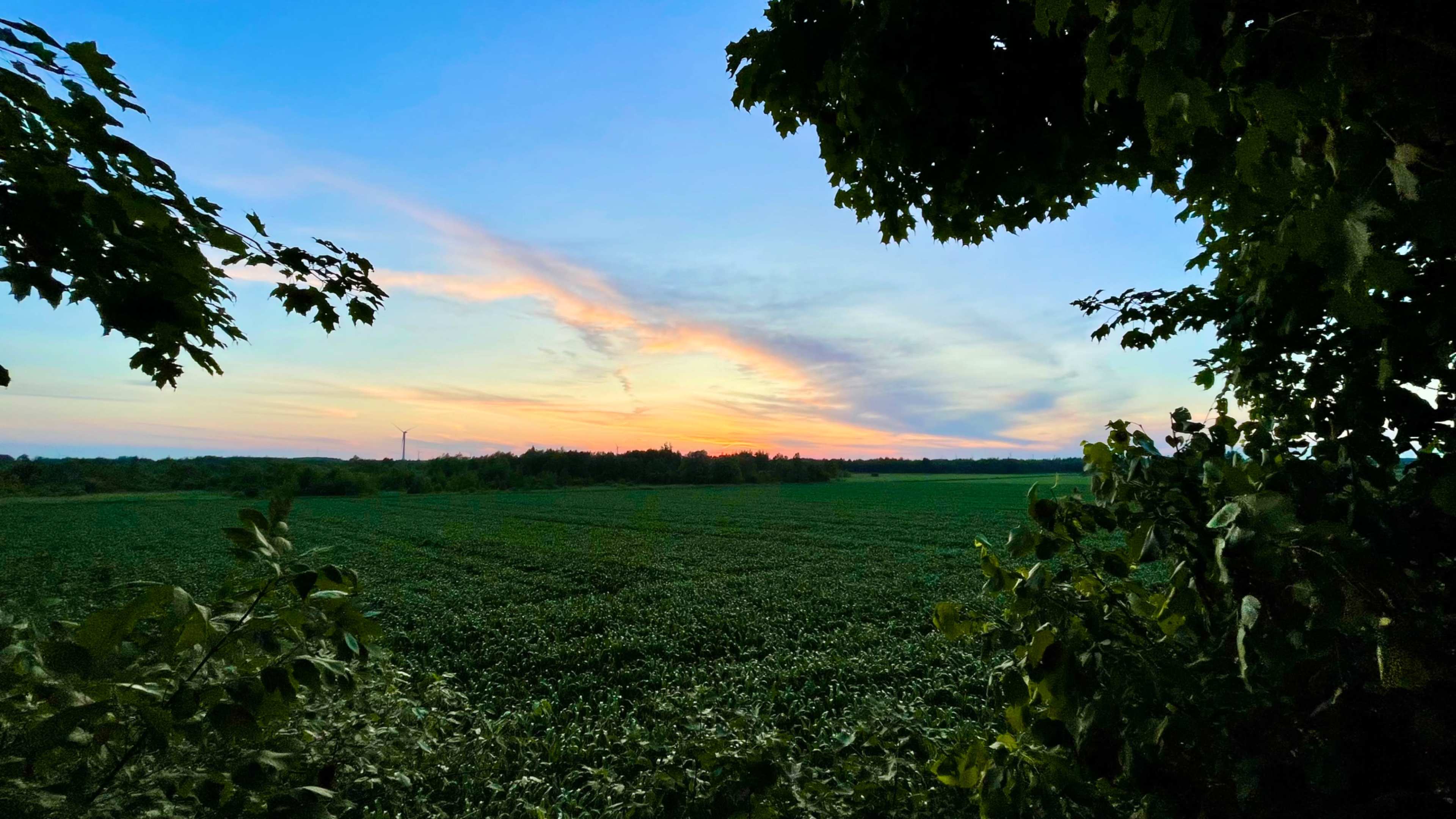 The image shows a vibrant sunset over a green field framed by trees on either side.