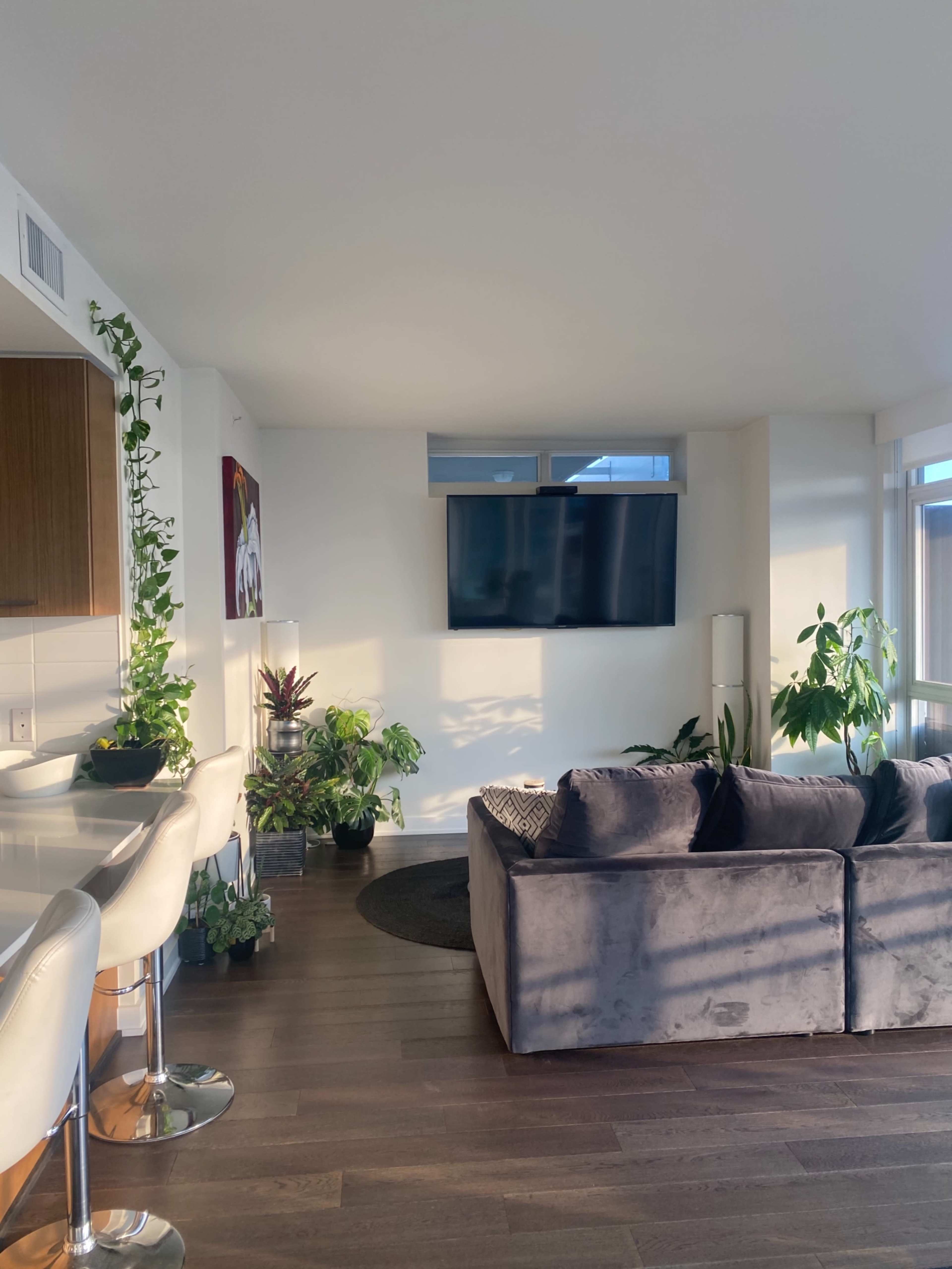 A modern living room features a gray sofa, a wall-mounted television, and various indoor plants, with light streaming through large windows.