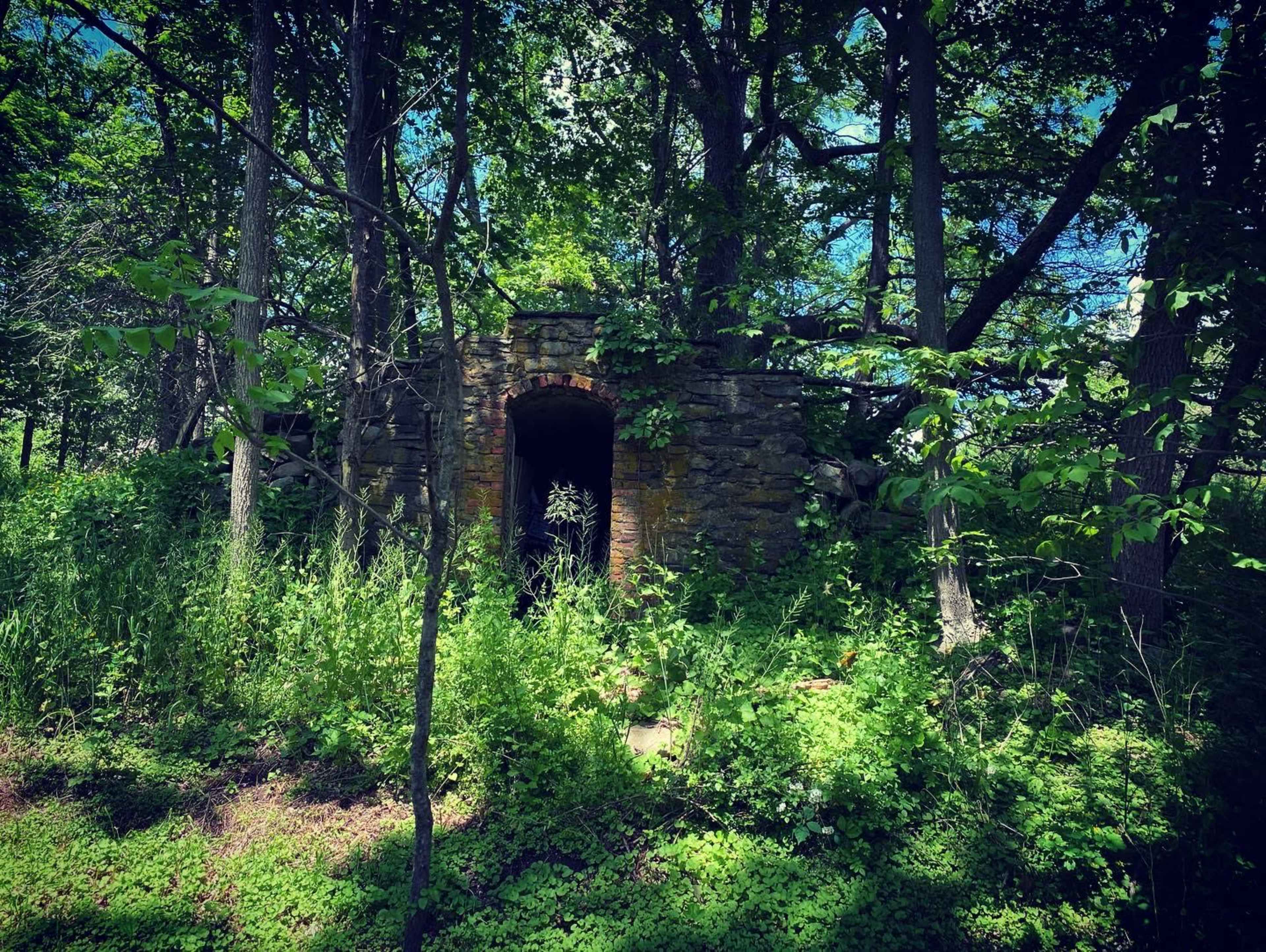 A stone structure partially obscured by dense foliage and surrounded by trees.