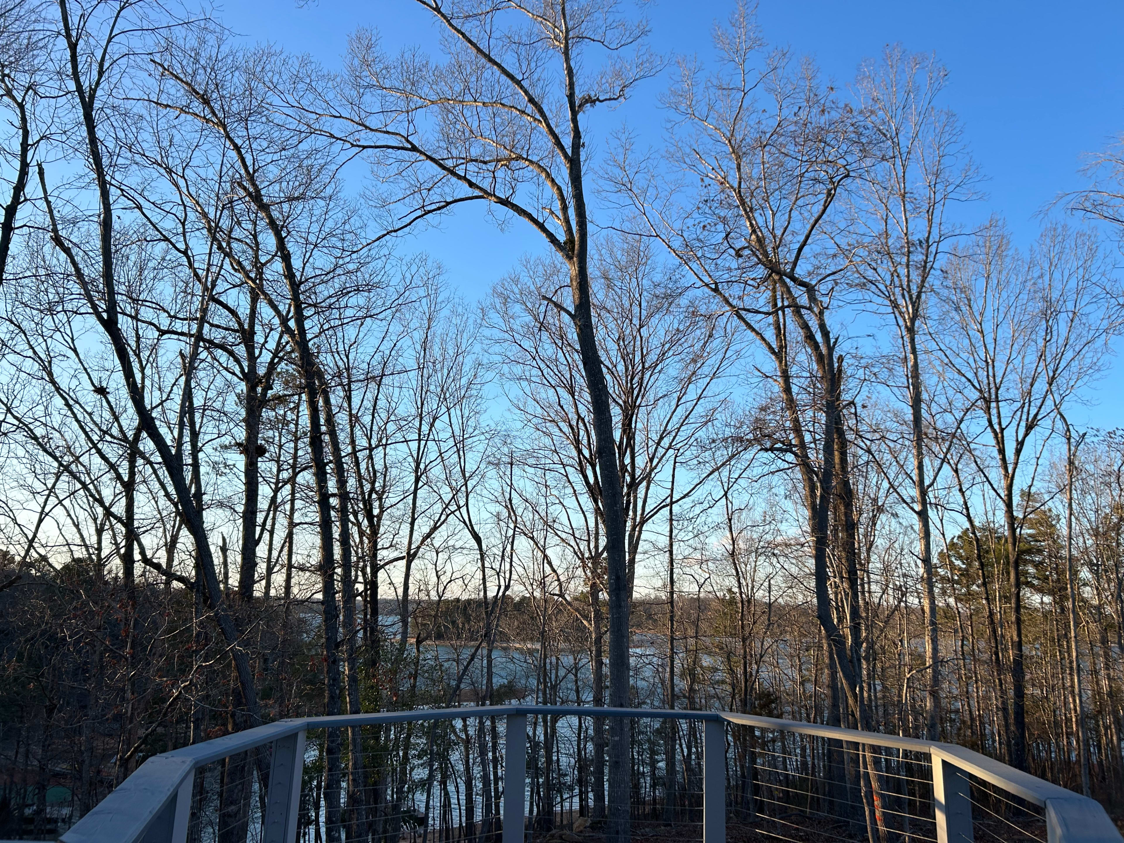 The image shows a wooden railing overlooking a lake, framed by bare trees against a clear blue sky.