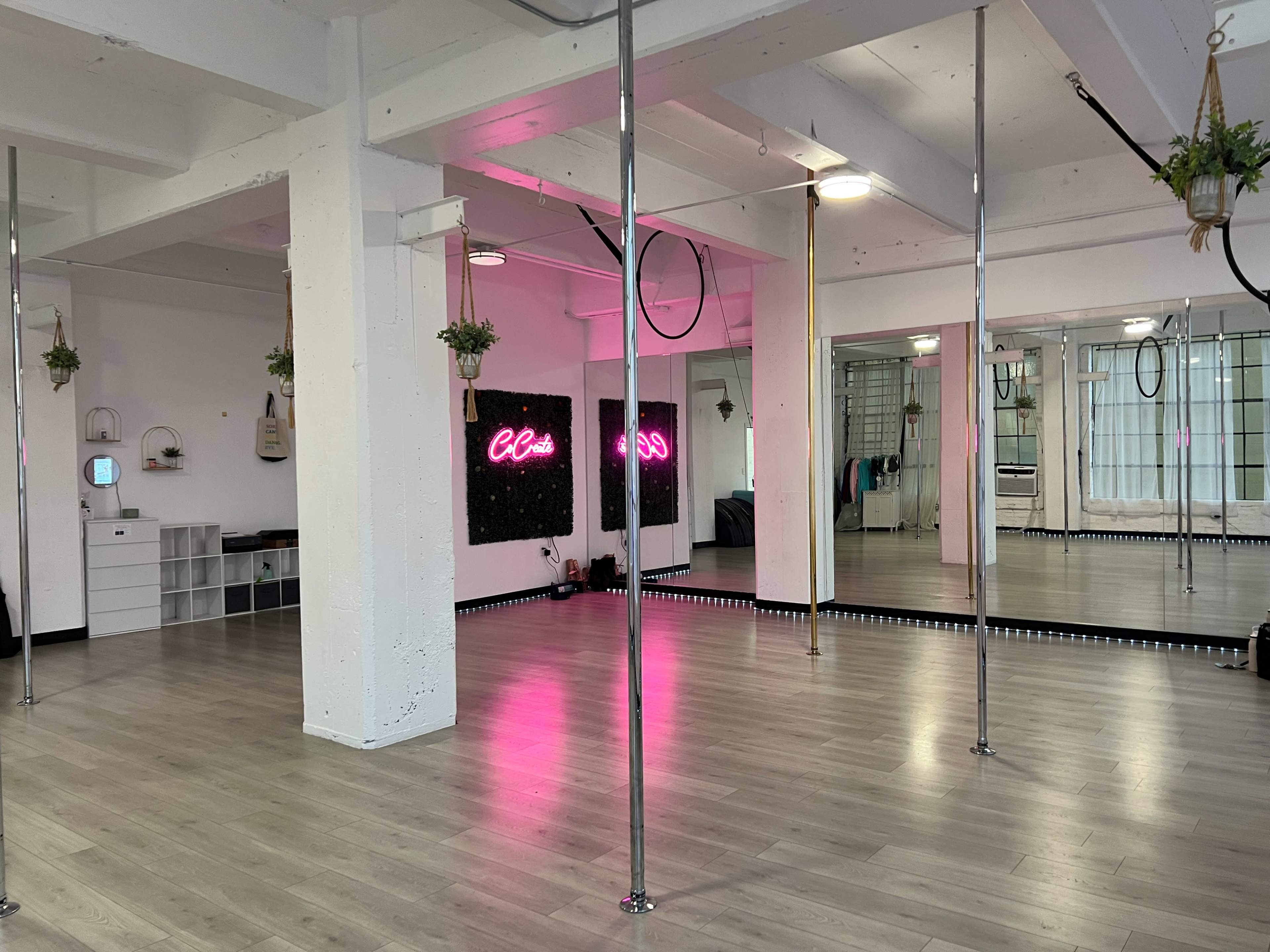 The image shows a spacious studio with shiny poles, a mirrored wall, and a neon sign, featuring wooden flooring and potted plants hanging from the ceiling.