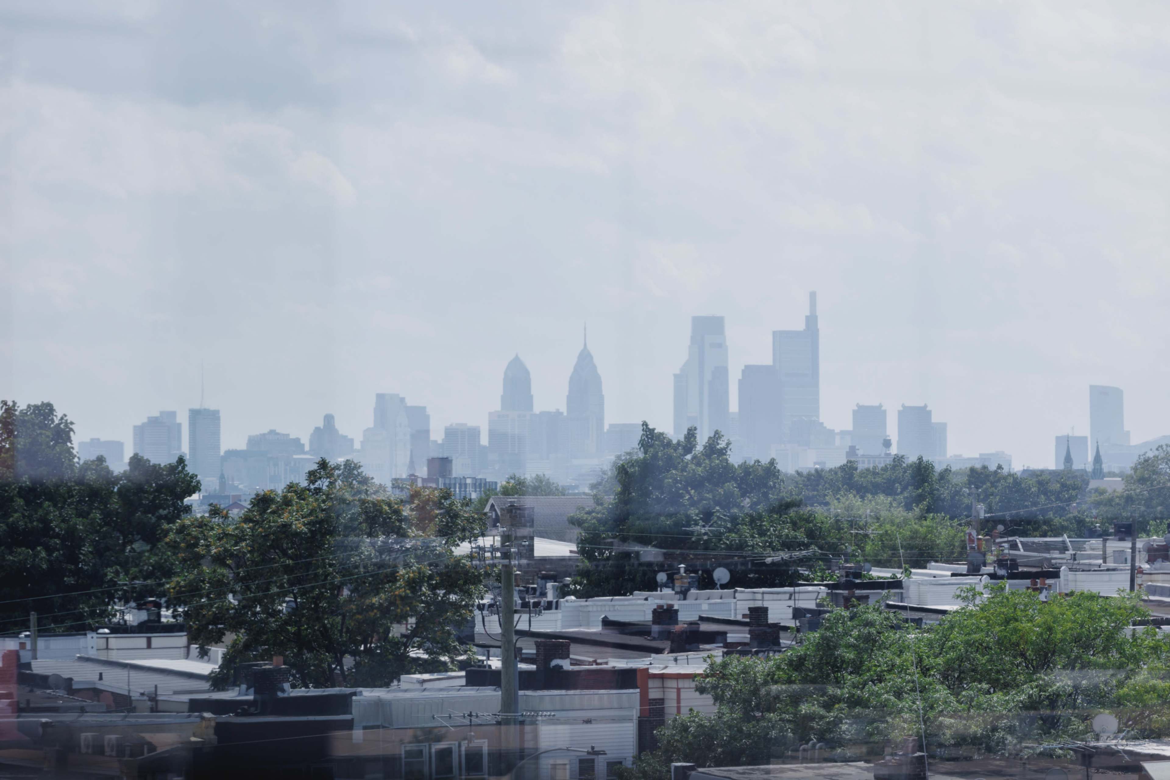 A city skyline is visible in the distance, partially obscured by haze, with buildings rising above a foreground of rooftops and greenery.