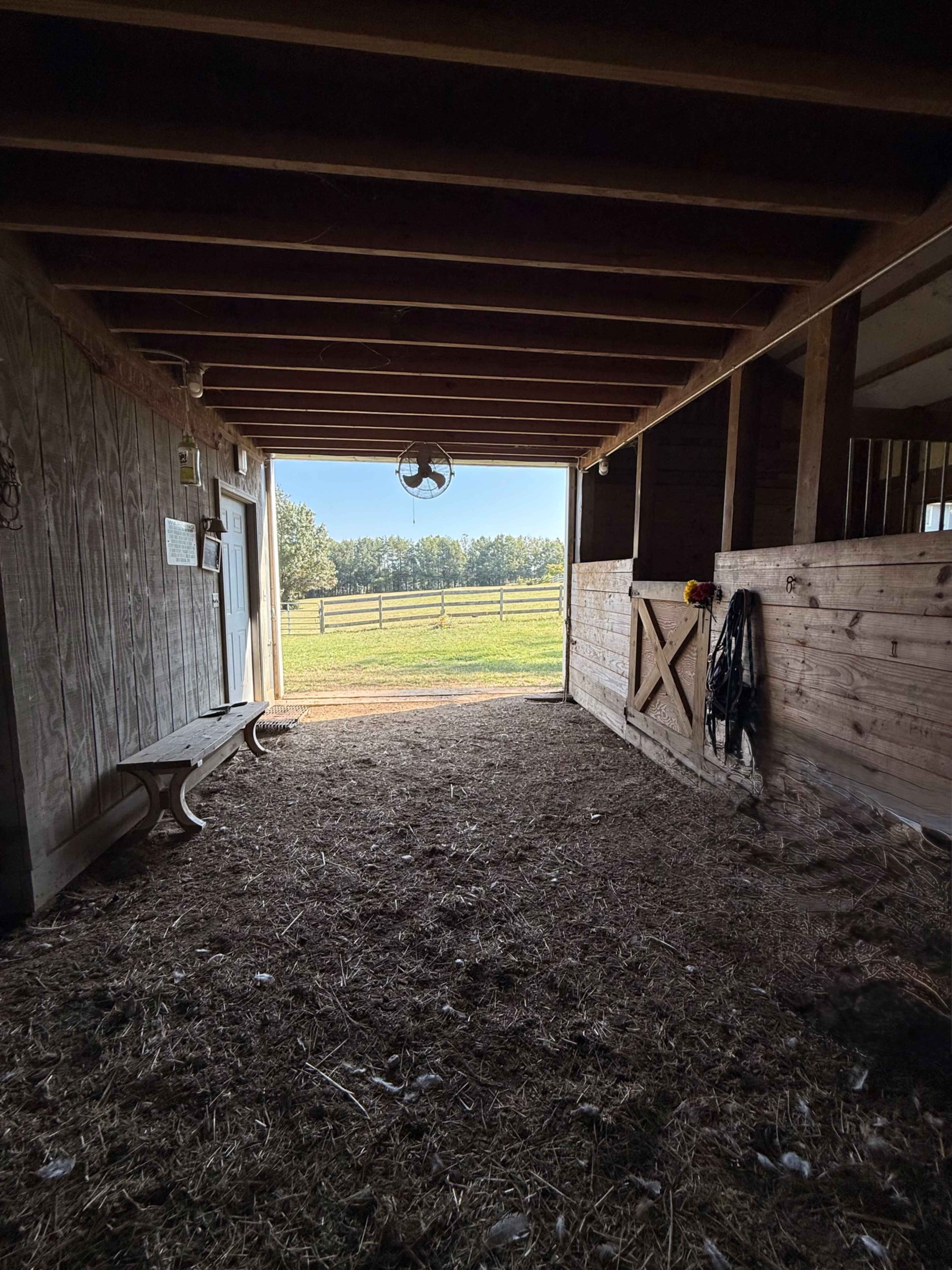 The Enchanted Herd - Photo Shoot Barn Image in , Travelers Rest, SC