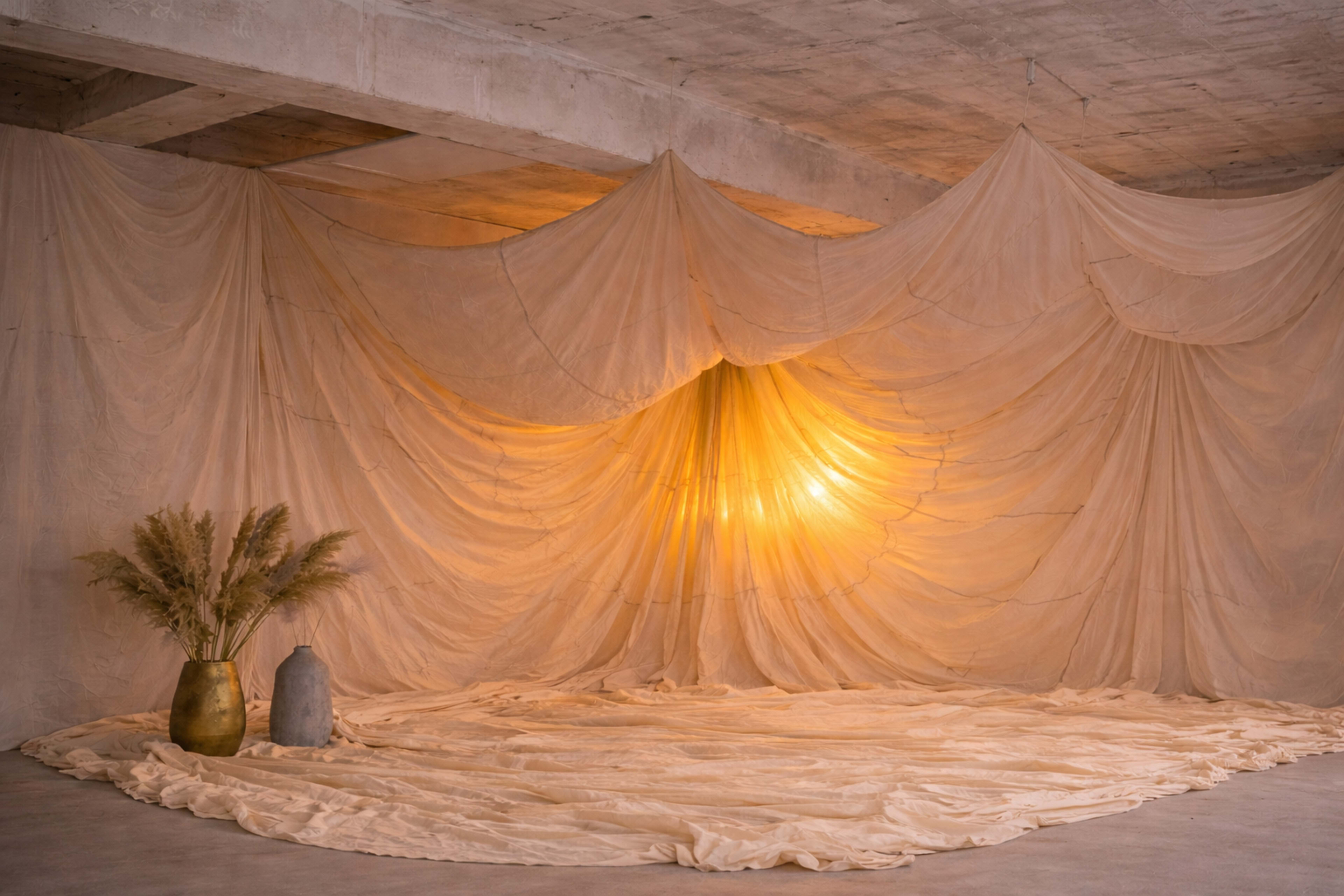 A softly lit space features draped fabric forming a backdrop, with decorative vases and pampas grass arranged in front.