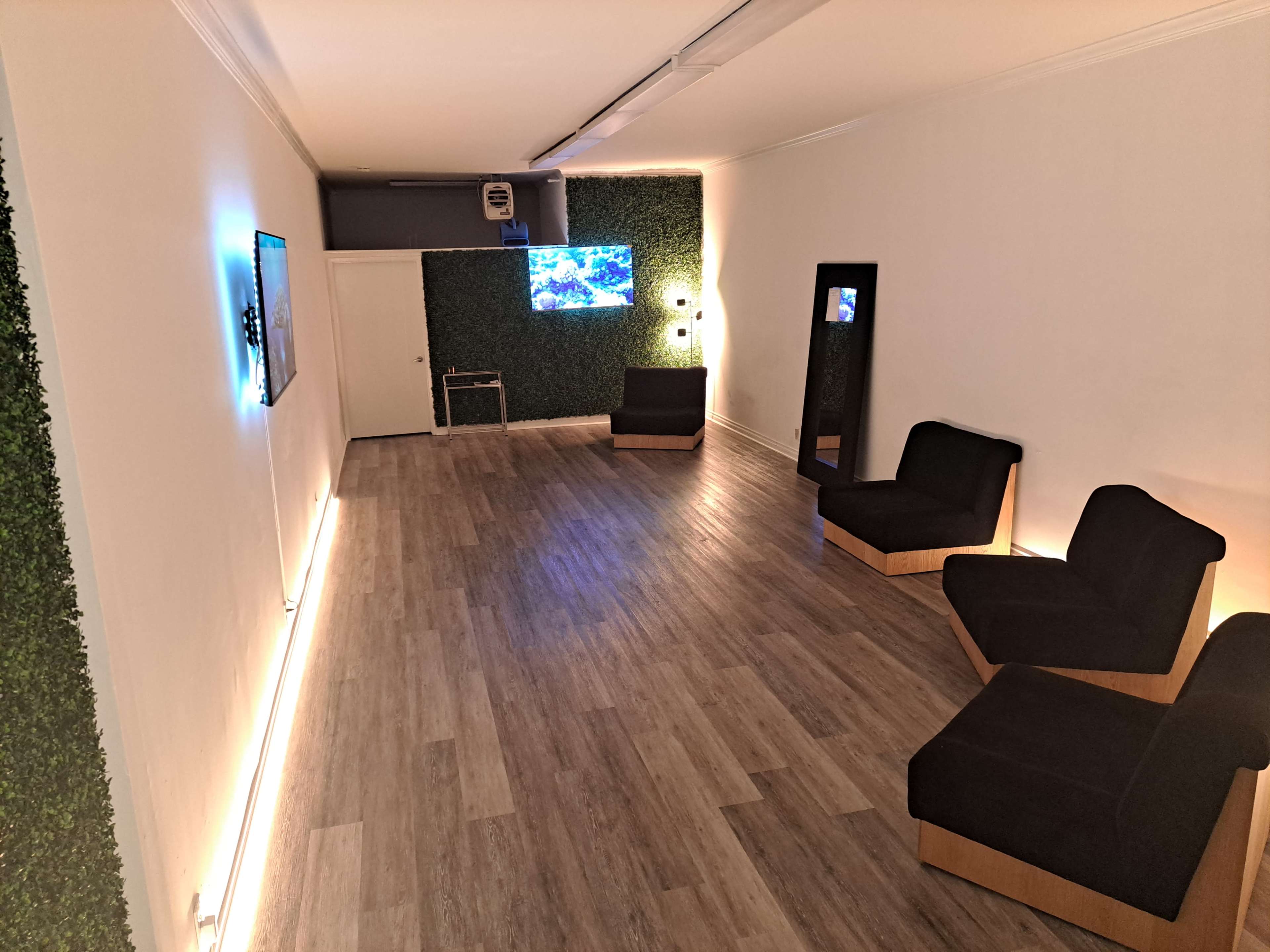 A modern room with wooden flooring, two black chairs, a wall-mounted TV displaying an aquarium scene, and greenery along the walls.