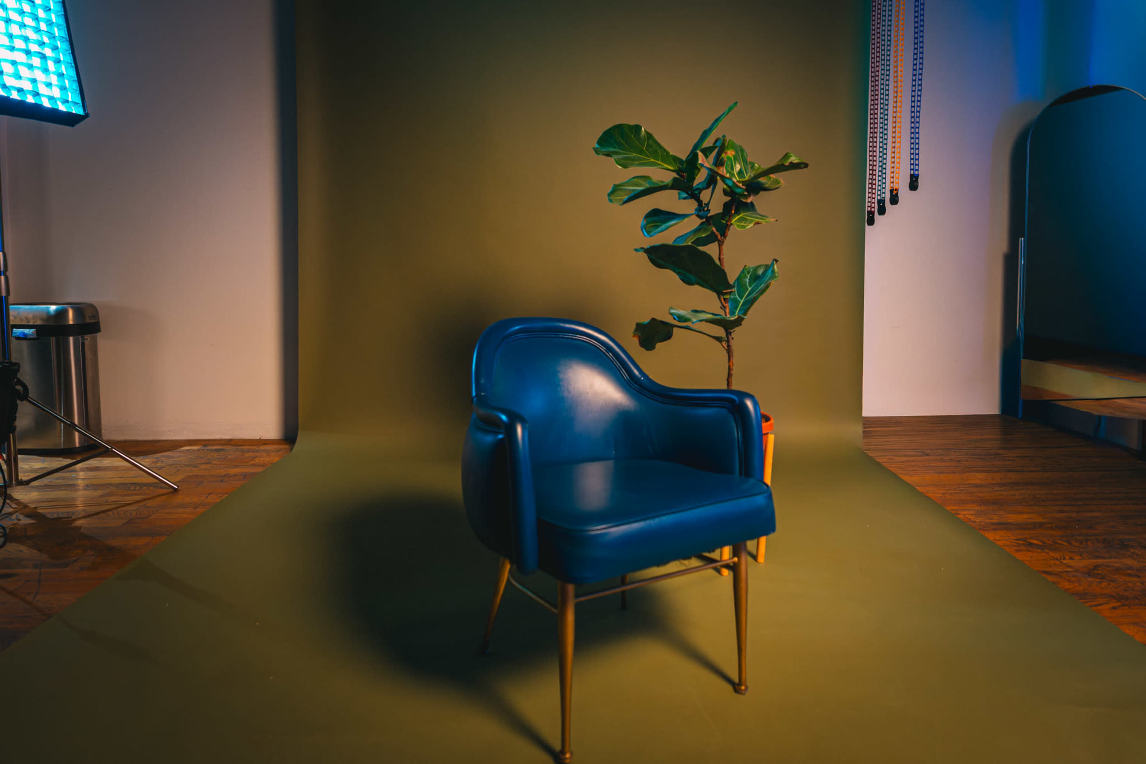 The image features a blue vintage-style chair positioned in front of a green backdrop, accompanied by a small potted plant.