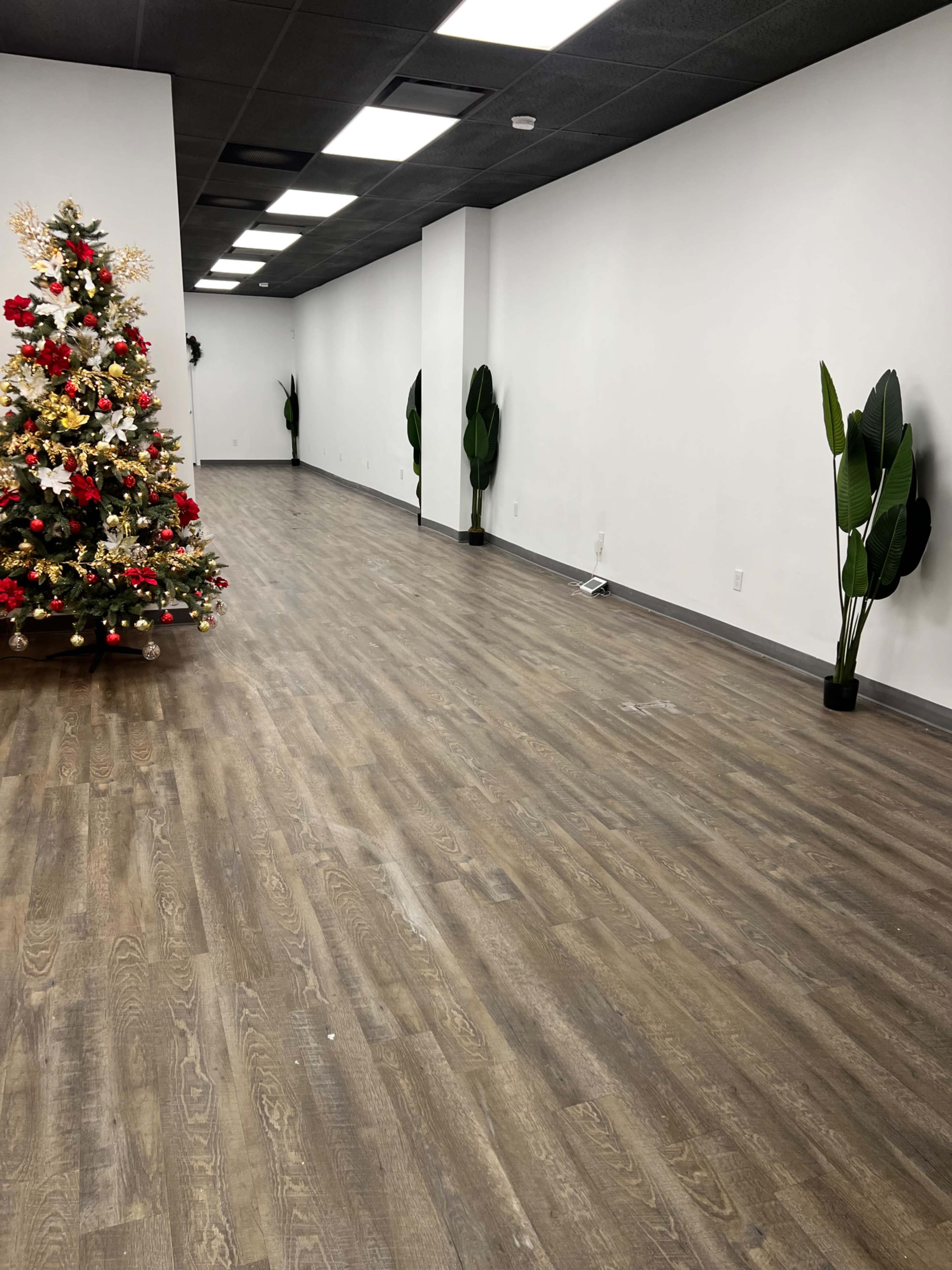 A spacious indoor area with a wooden floor, decorated with a Christmas tree on the left and tall potted plants along the walls.
