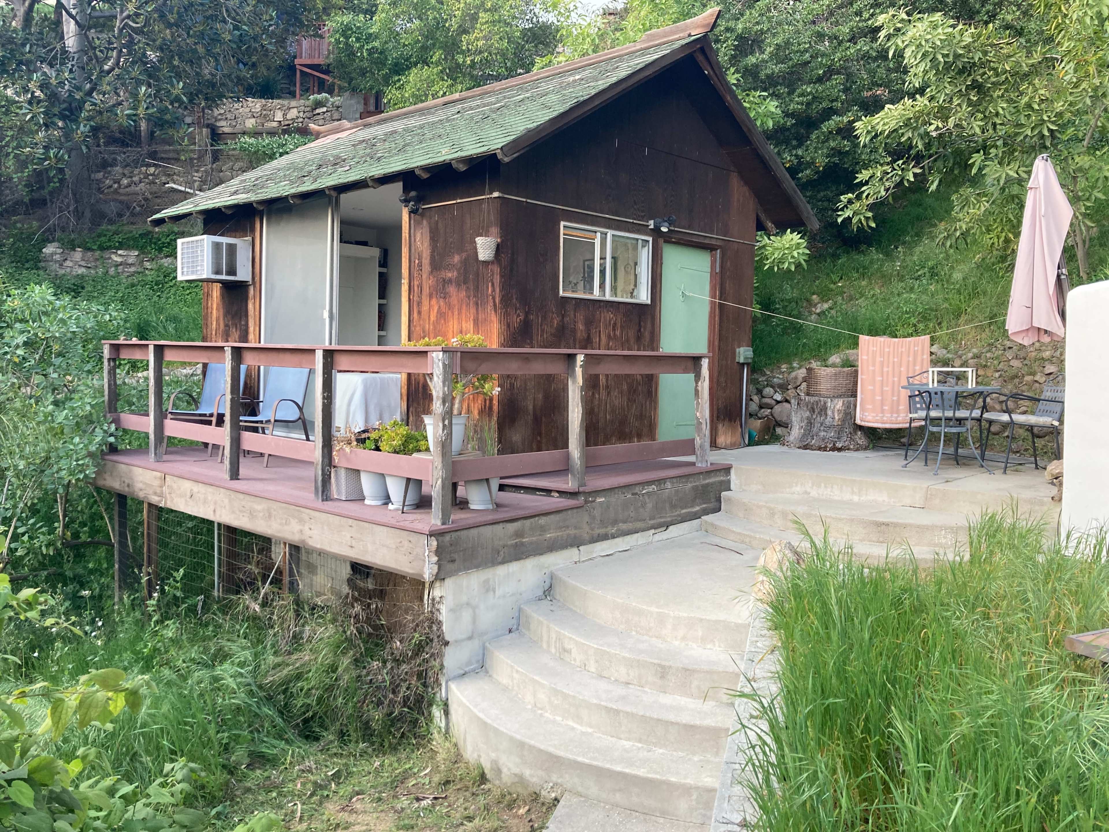 A rustic wooden cottage with a porch surrounded by greenery and a set of concrete steps leading up to it.
