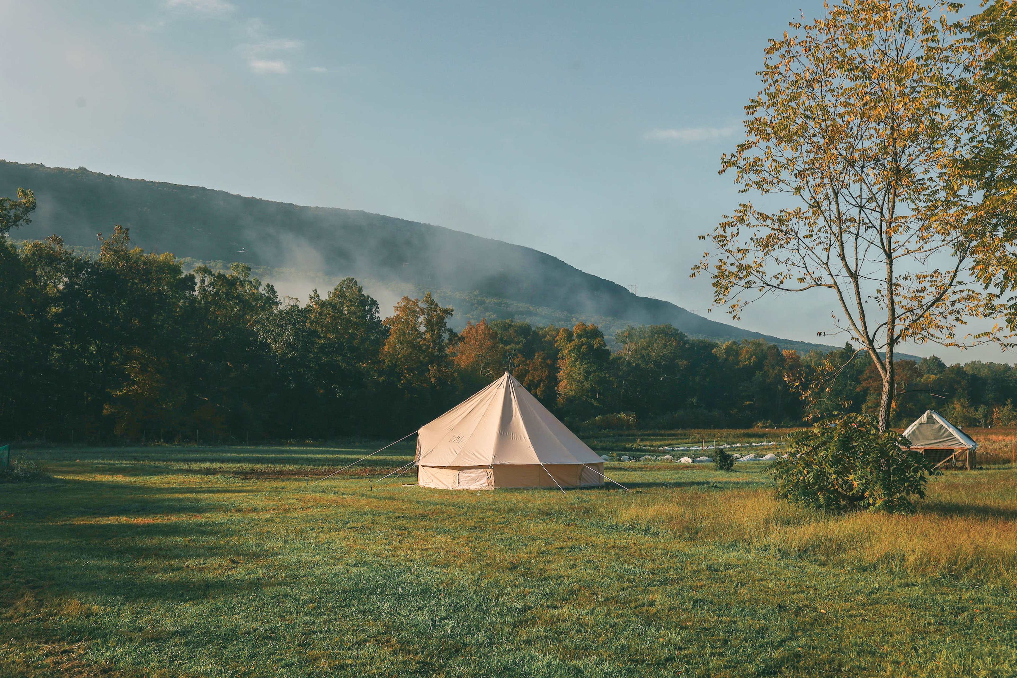 A large canvas tent stands in a grassy field surrounded by trees and a misty mountain backdrop.