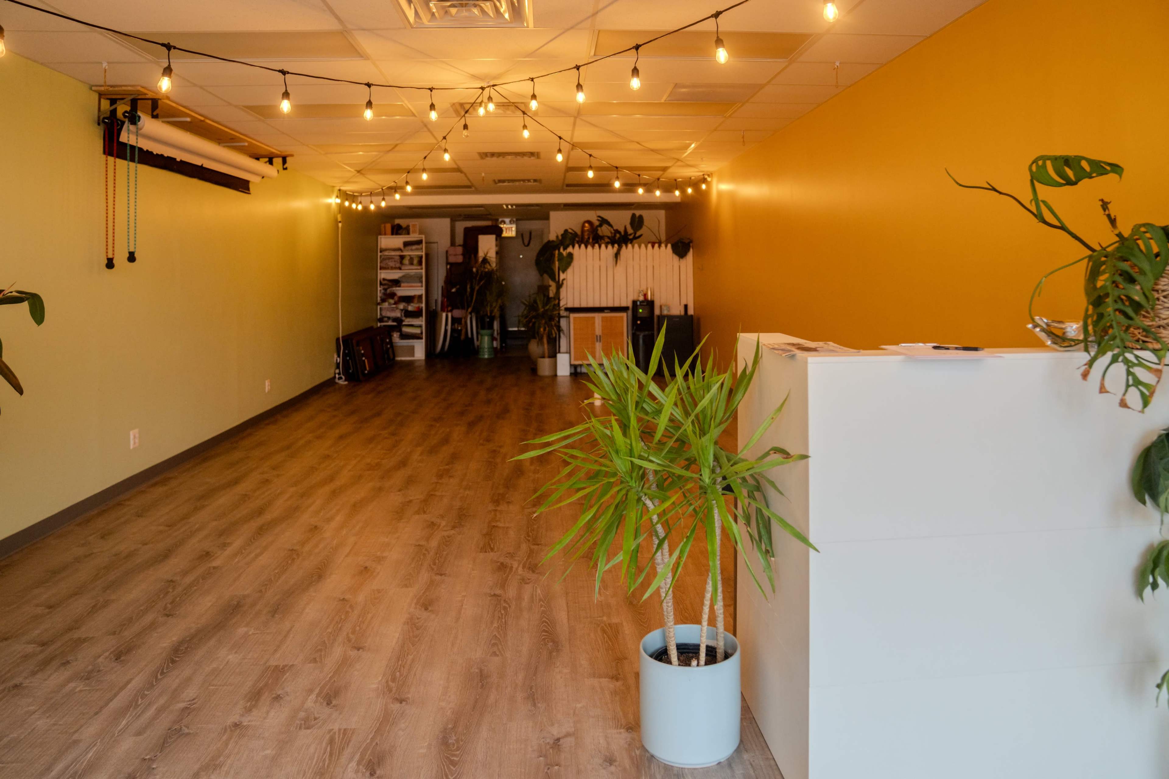 Photography Studio/Dance Hall/ Coworking. Open space, well lit. Option for warm lights. Image in Portage Park, Chicago, IL