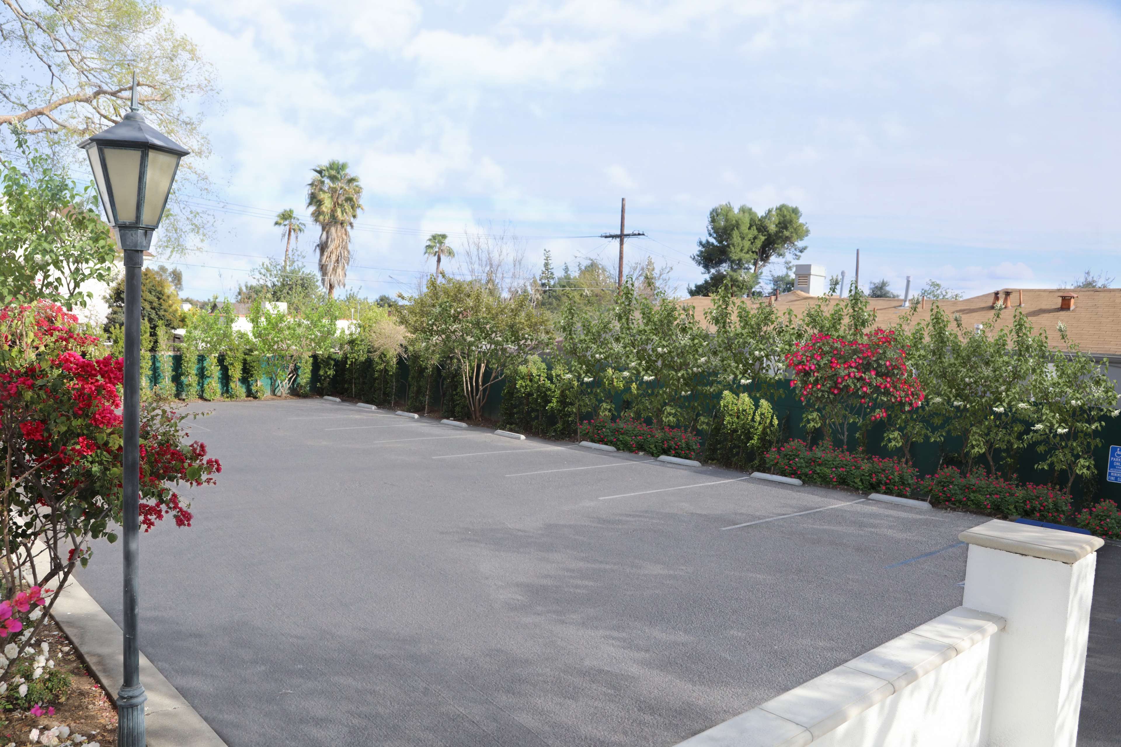 A vacant parking lot lined with flowering plants and shrubs, bordered by a tall fence and a lamppost.