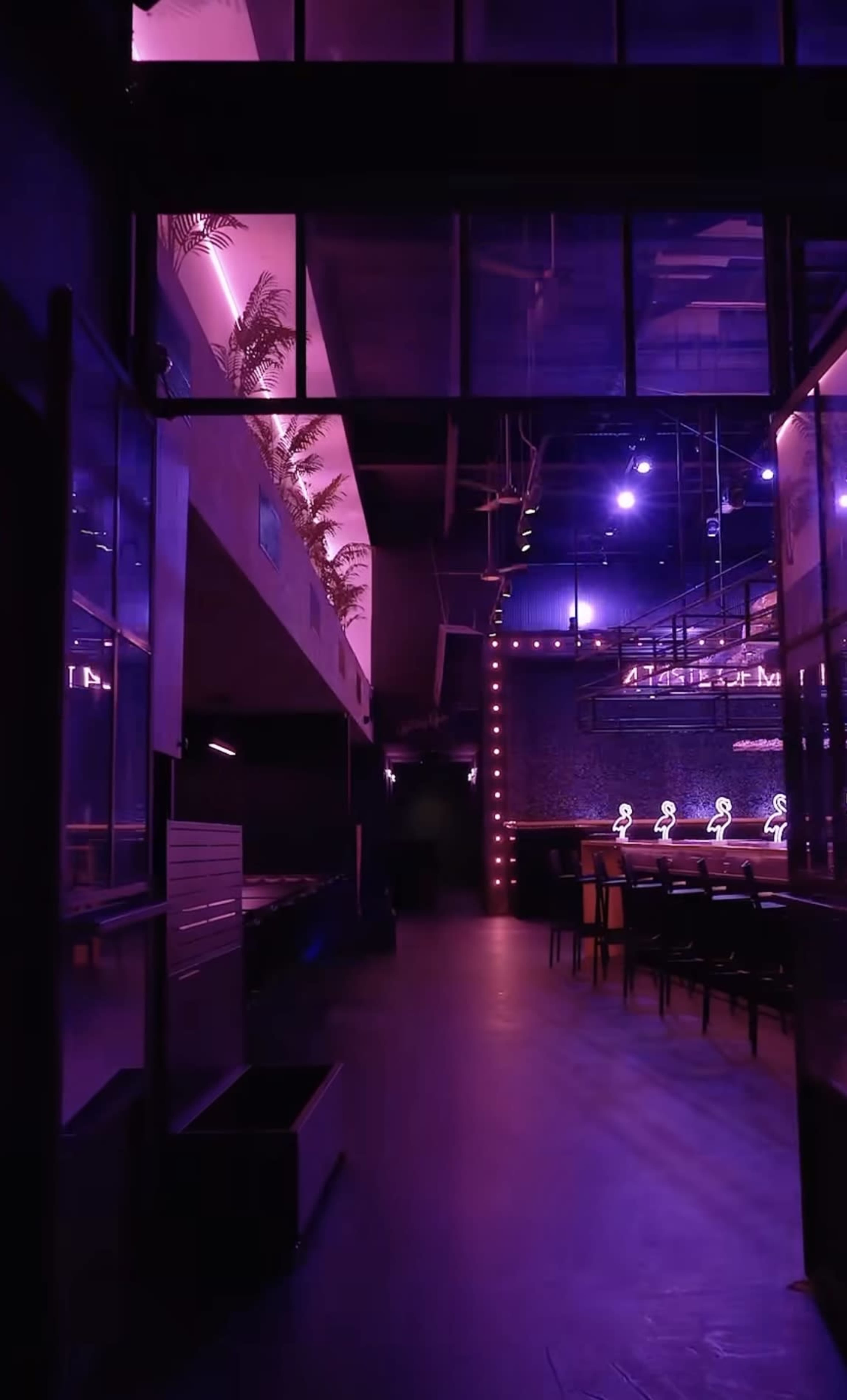 The image shows a dimly lit corridor of a modern venue, featuring purple lighting and a view of a bar area with seating.