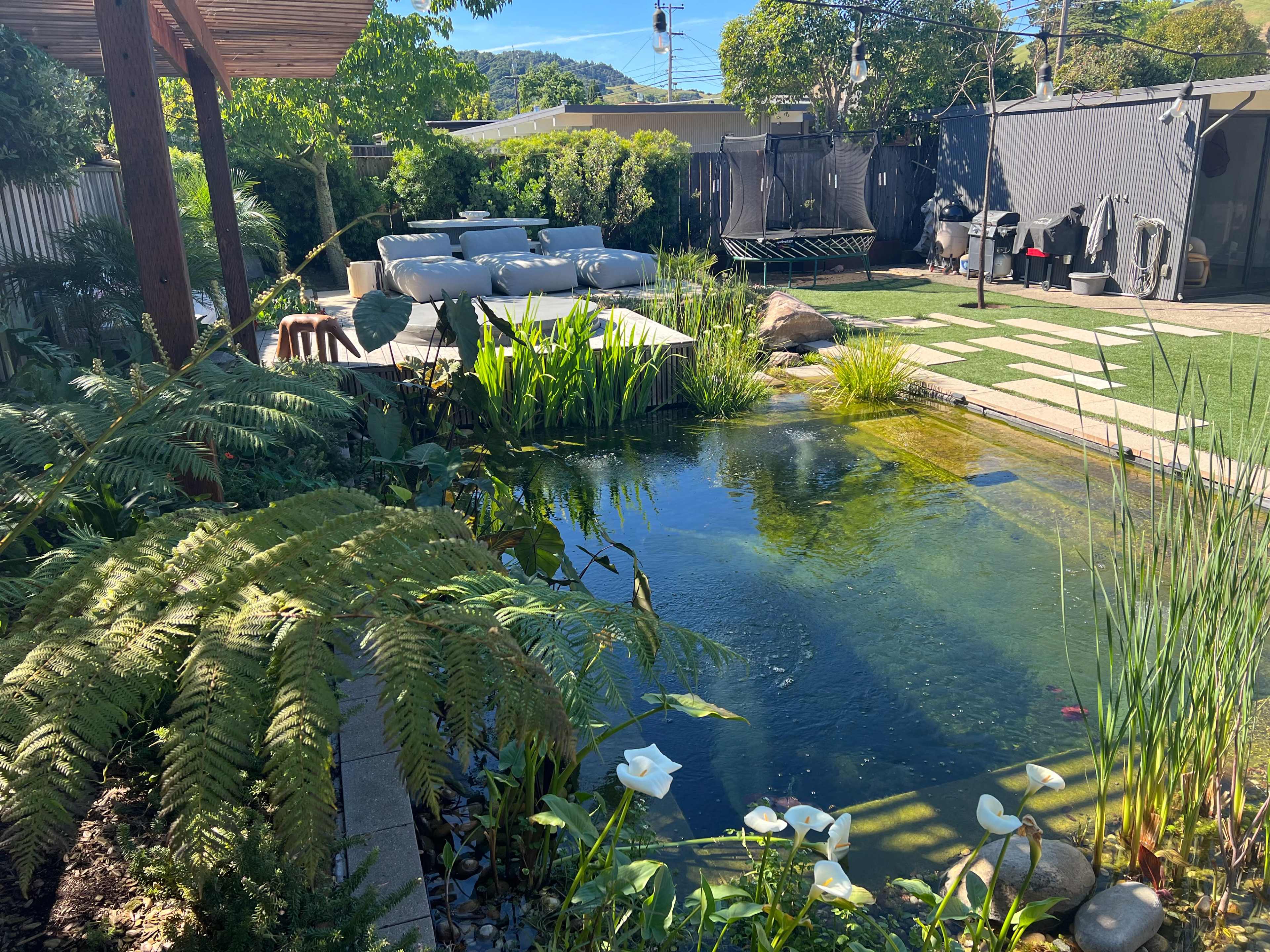 The image shows a landscaped backyard featuring a pond surrounded by greenery, stone pathways, and patio furniture.