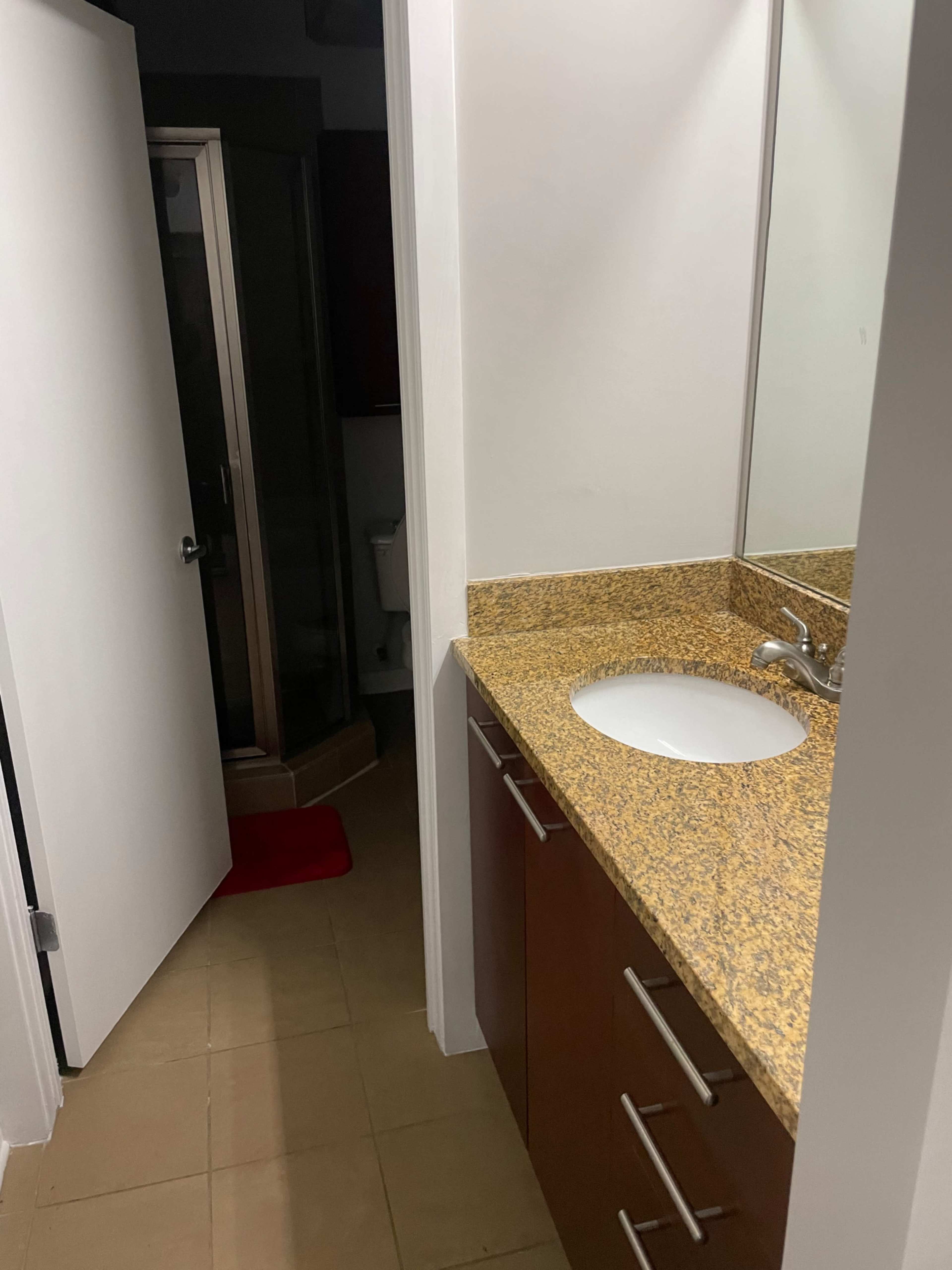 A bathroom features a granite countertop with a sink, cabinet drawers, and an open door leading to a shower area and a separate toilet.