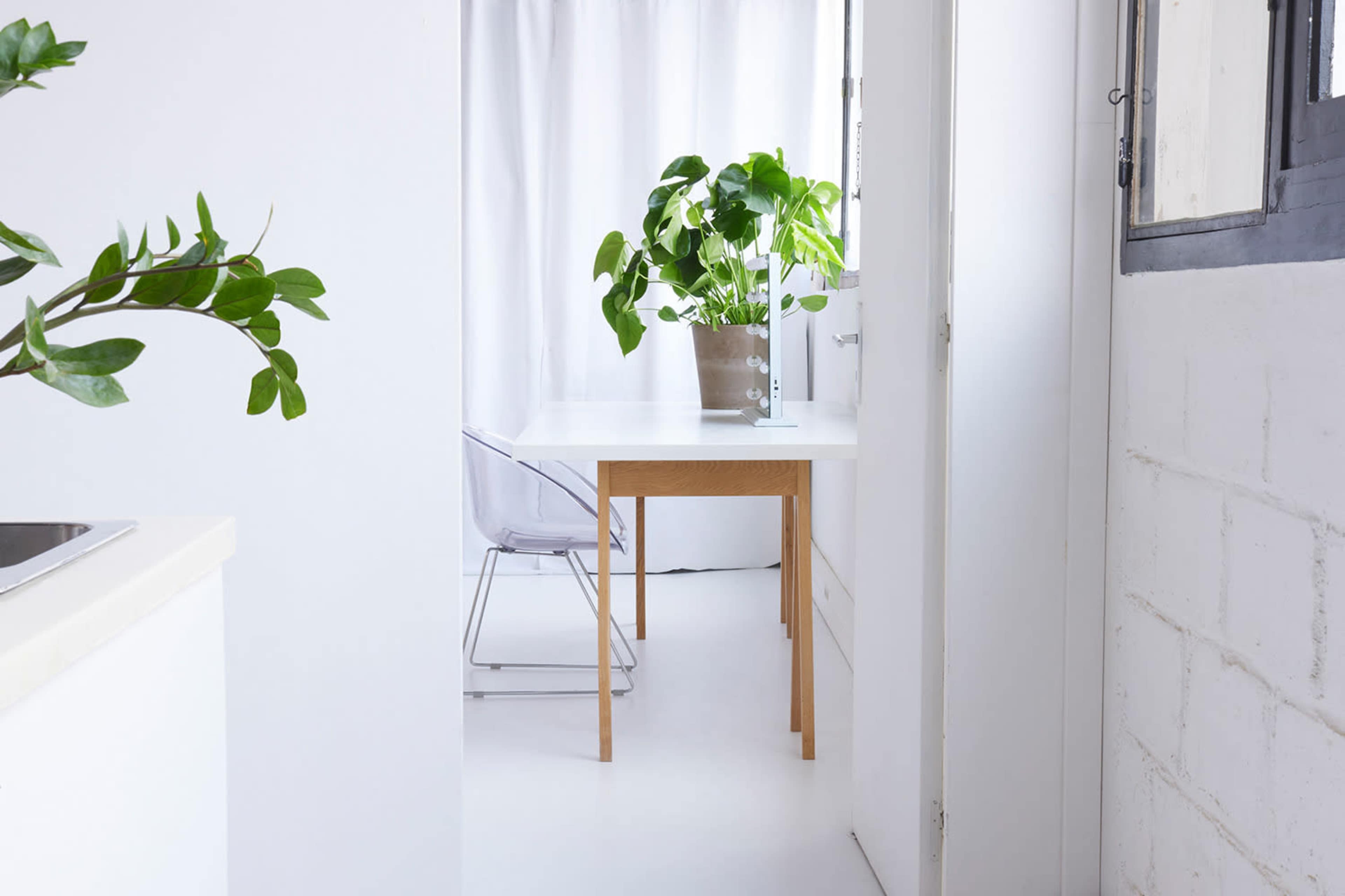 A modern, minimalist kitchen opens to a bright dining area featuring a table and a large potted plant.
