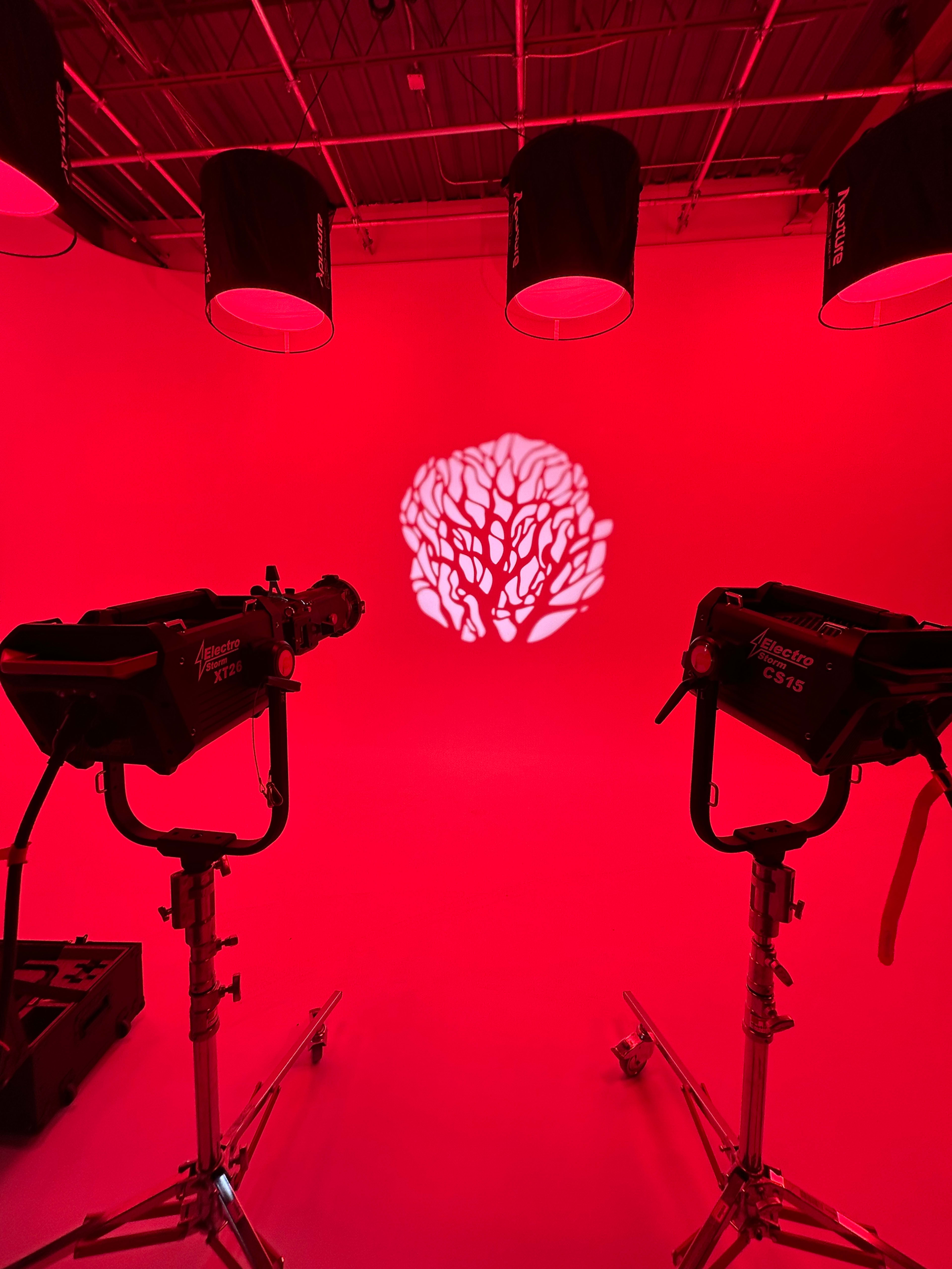Two studio lights positioned on stands, casting a tree shadow onto a red backdrop.