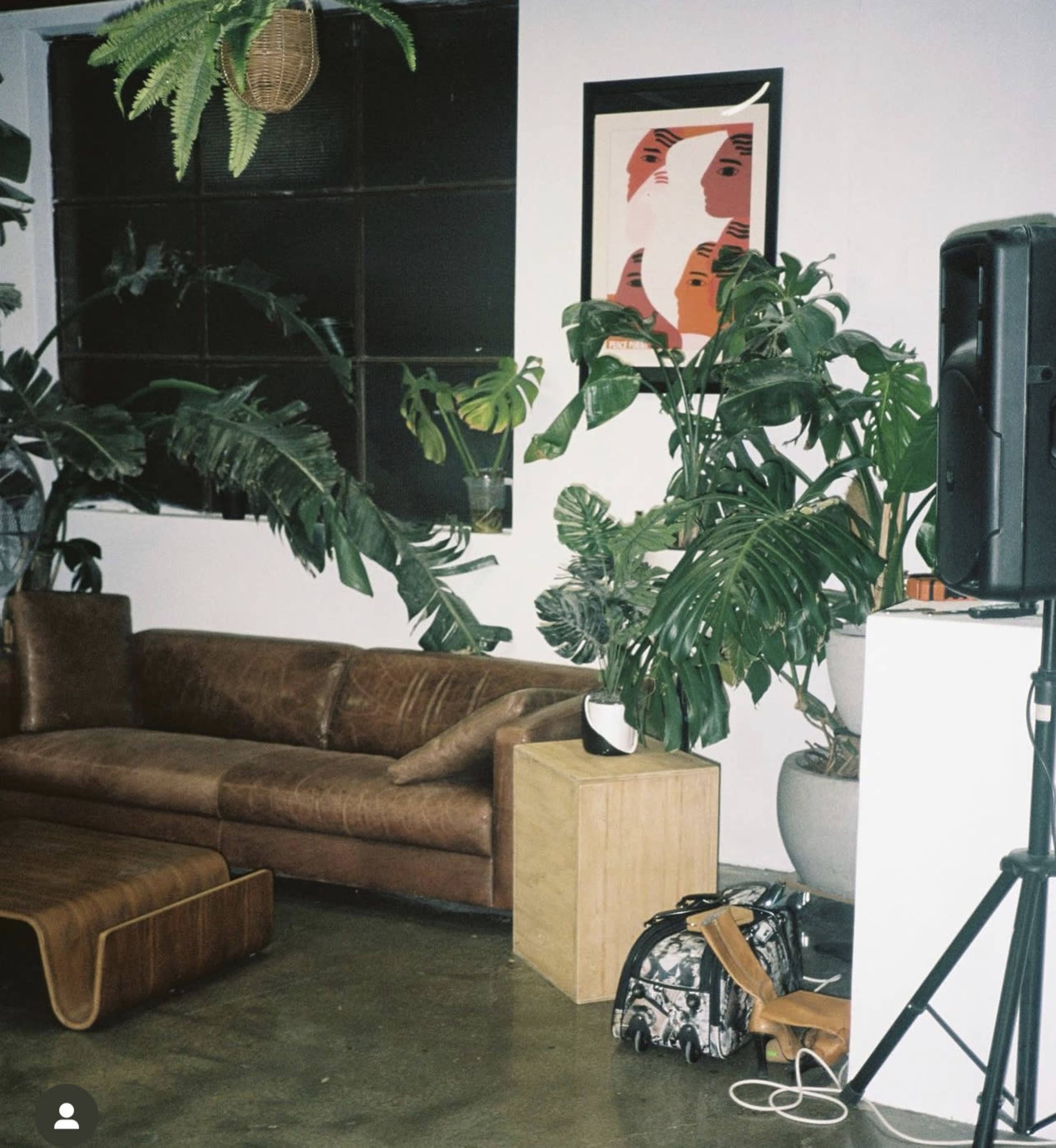 A lounge area with a brown leather sofa, a wooden table, a speaker, and various indoor plants against a white wall.