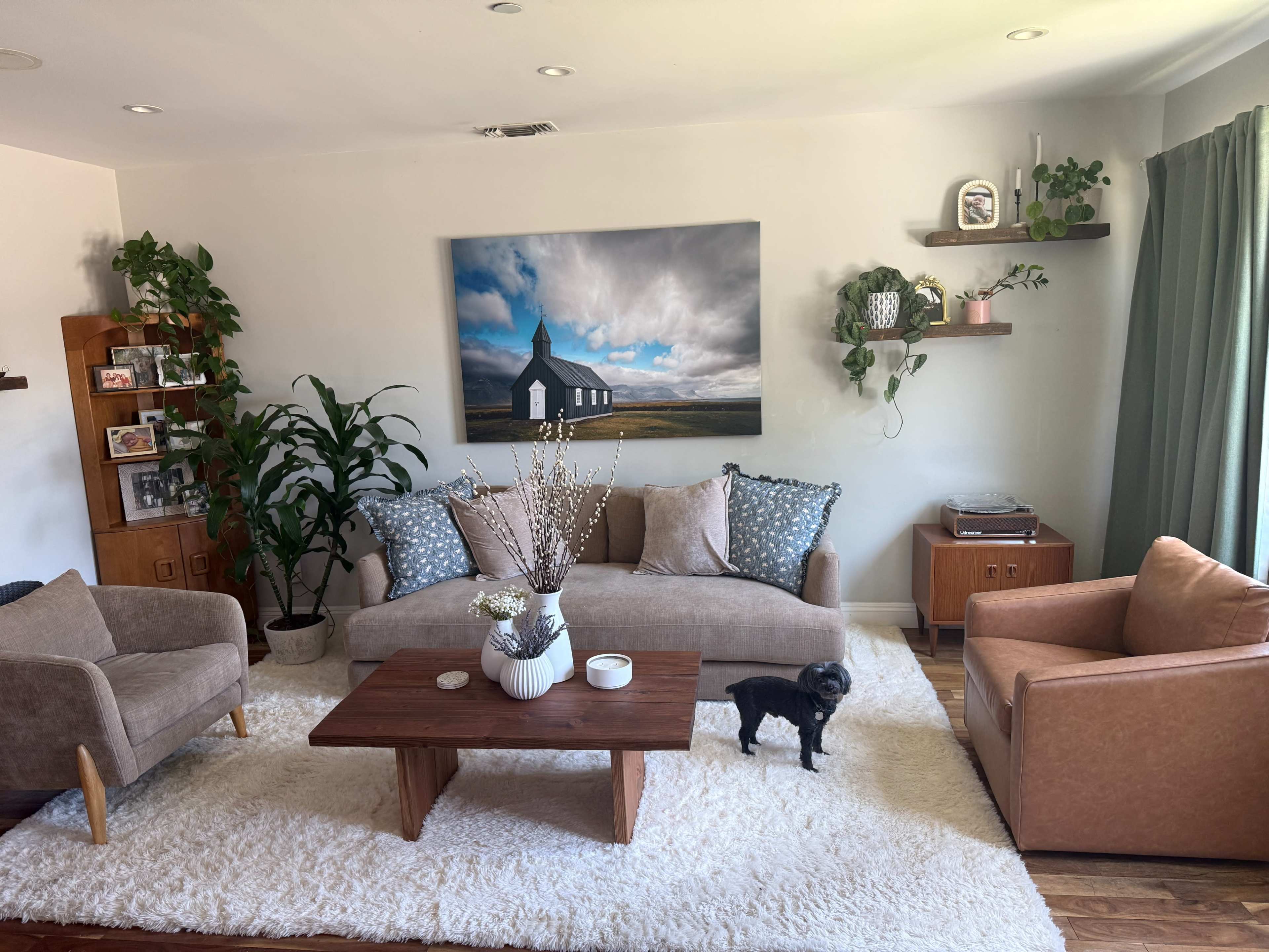 A cozy living room features two sofas, a coffee table, a large artwork on the wall, and a dog standing on a soft rug.