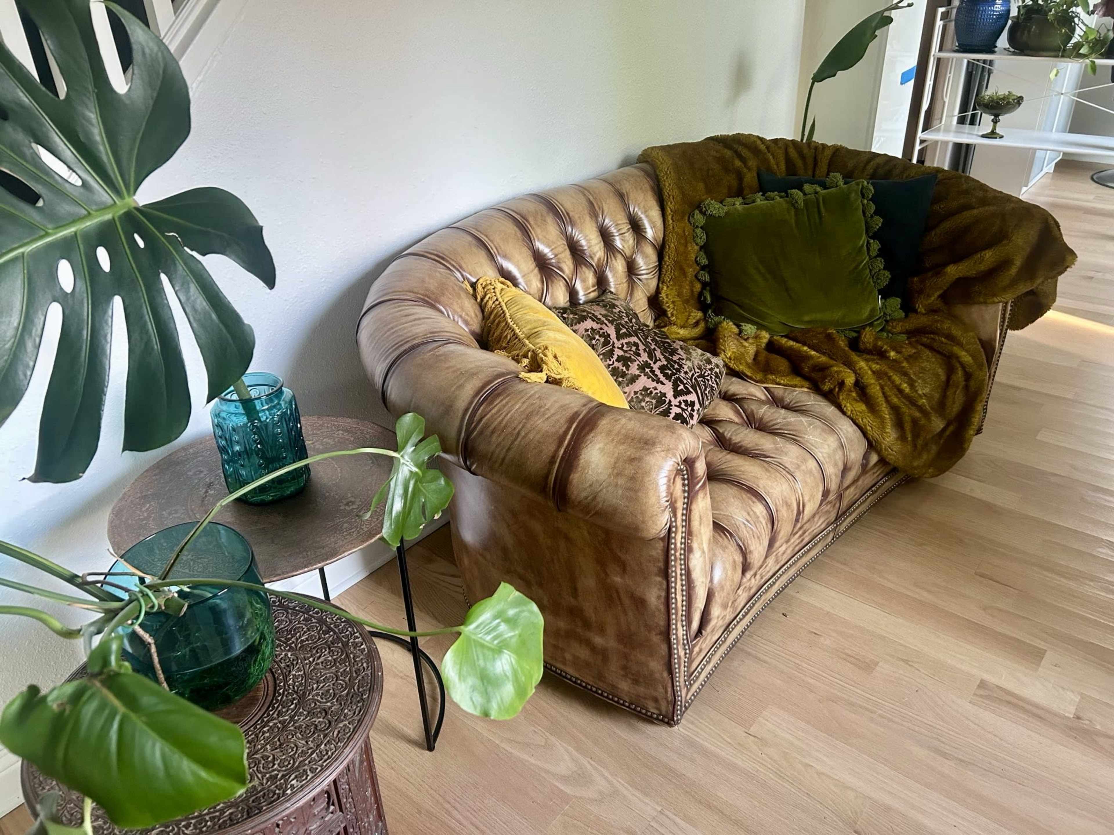 A vintage-style leather couch adorned with decorative pillows and a throw blanket, positioned next to green plants and a small table with decorative glass items.