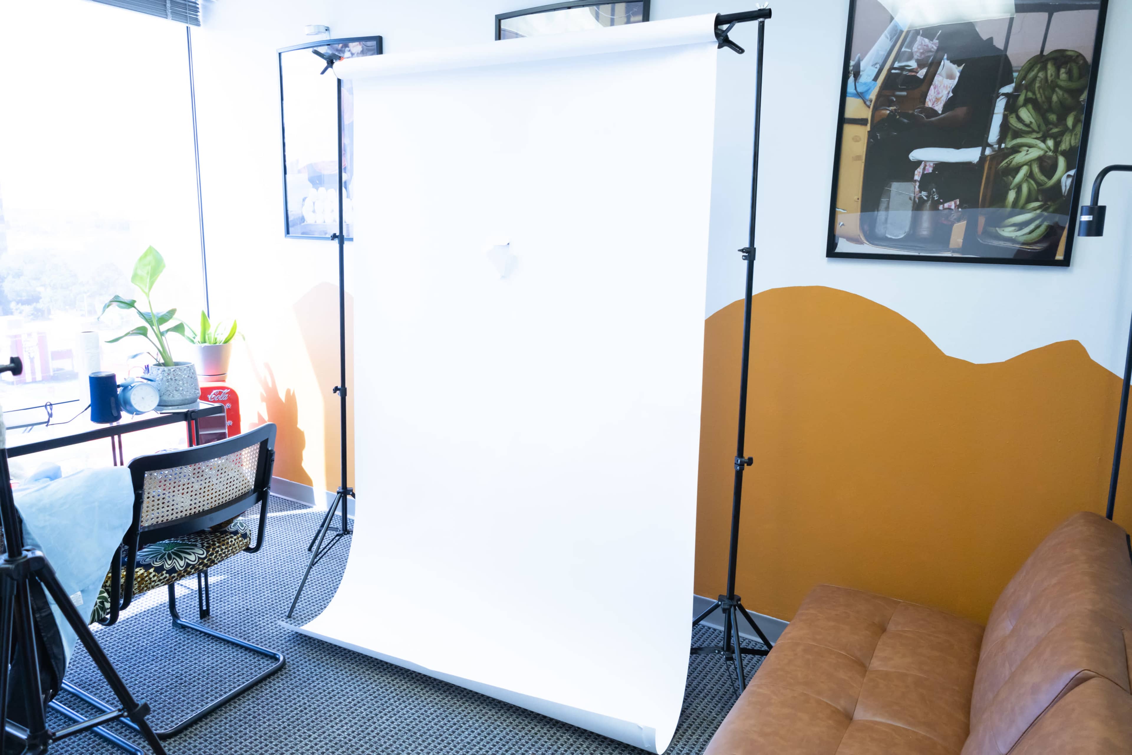 A photography setup with a white backdrop on stands in an office space featuring a brown accent wall and a plant.