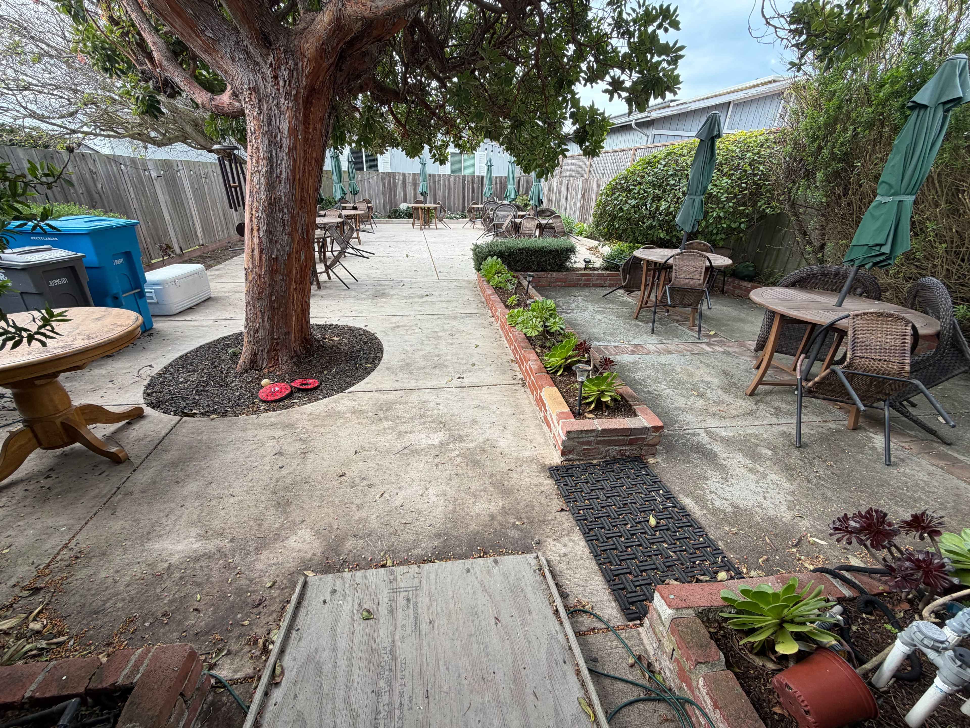 A fenced outdoor patio features tables with umbrellas, a tree, and planters along a concrete walkway.