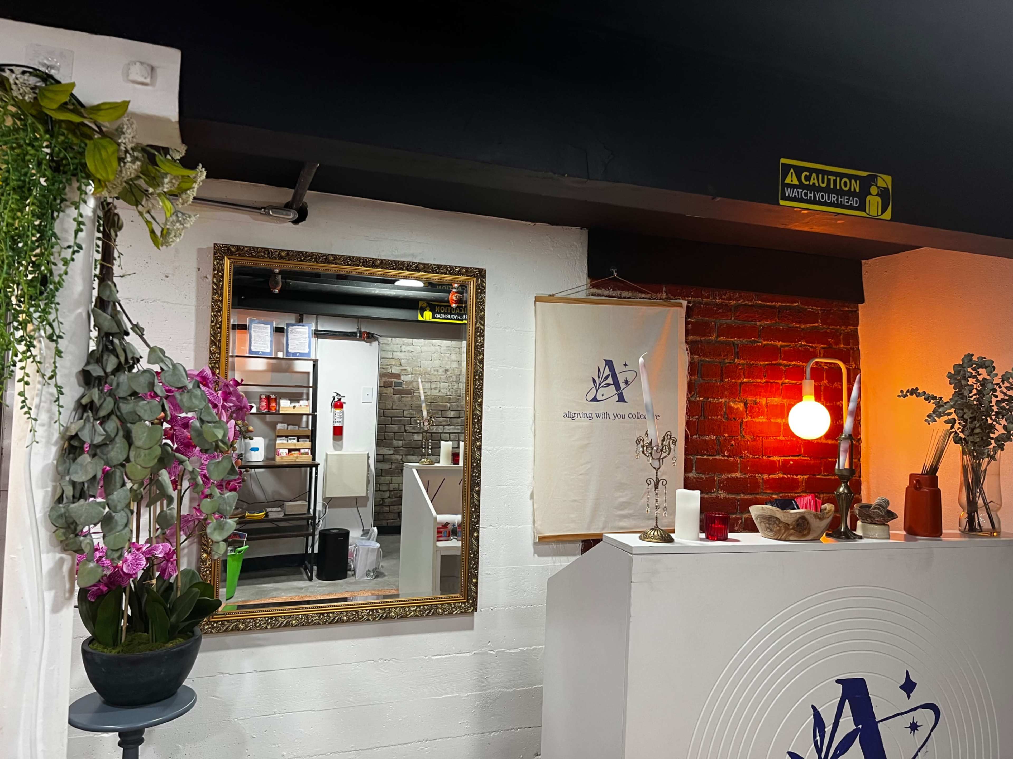 The image shows an indoor space with a decorative mirror, plants, and a reception area featuring a minimalist counter and art on the walls.