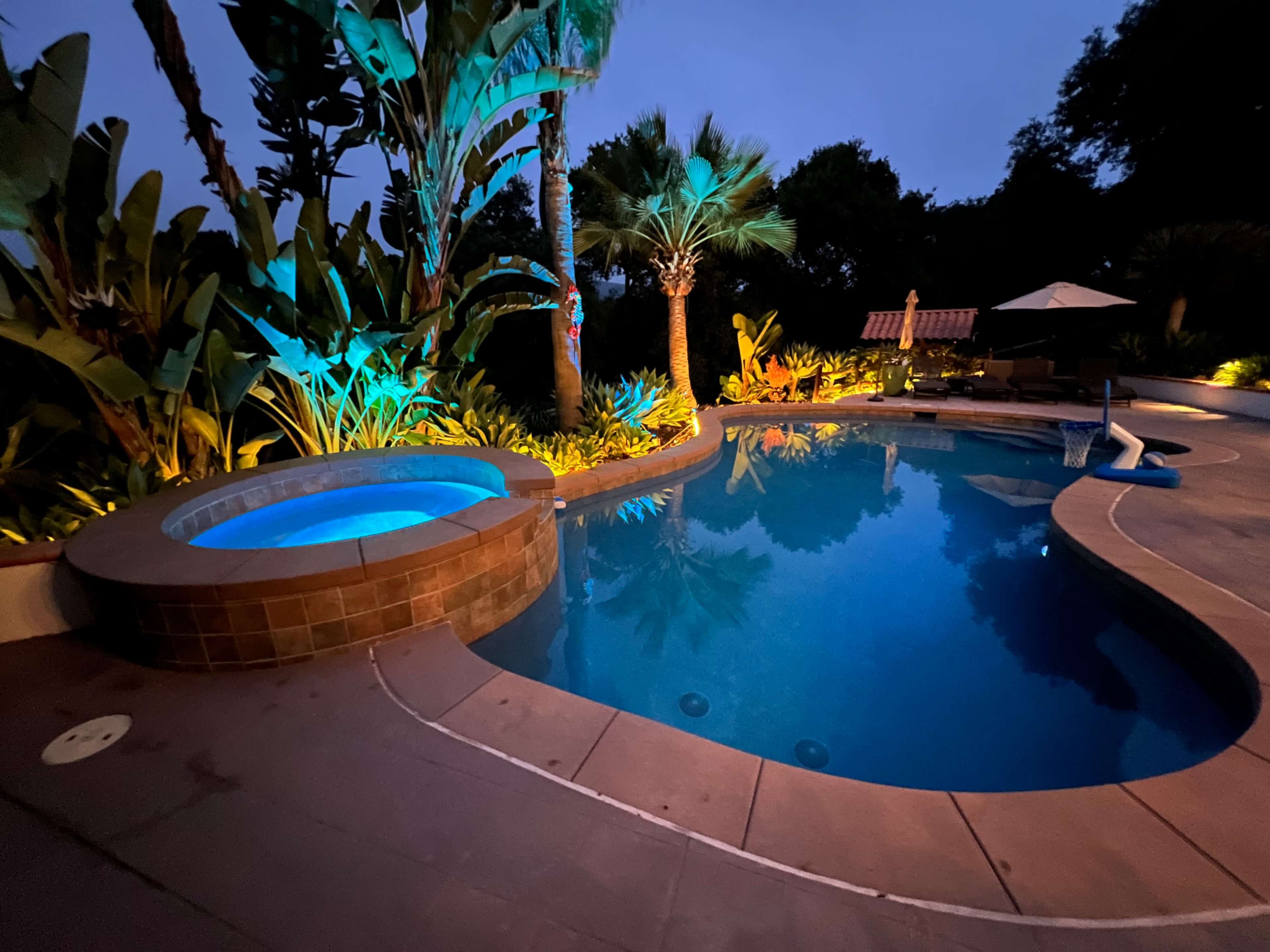 A landscaped pool area with a lighted spa, surrounded by tropical plants and illuminated features, in a dim evening setting.