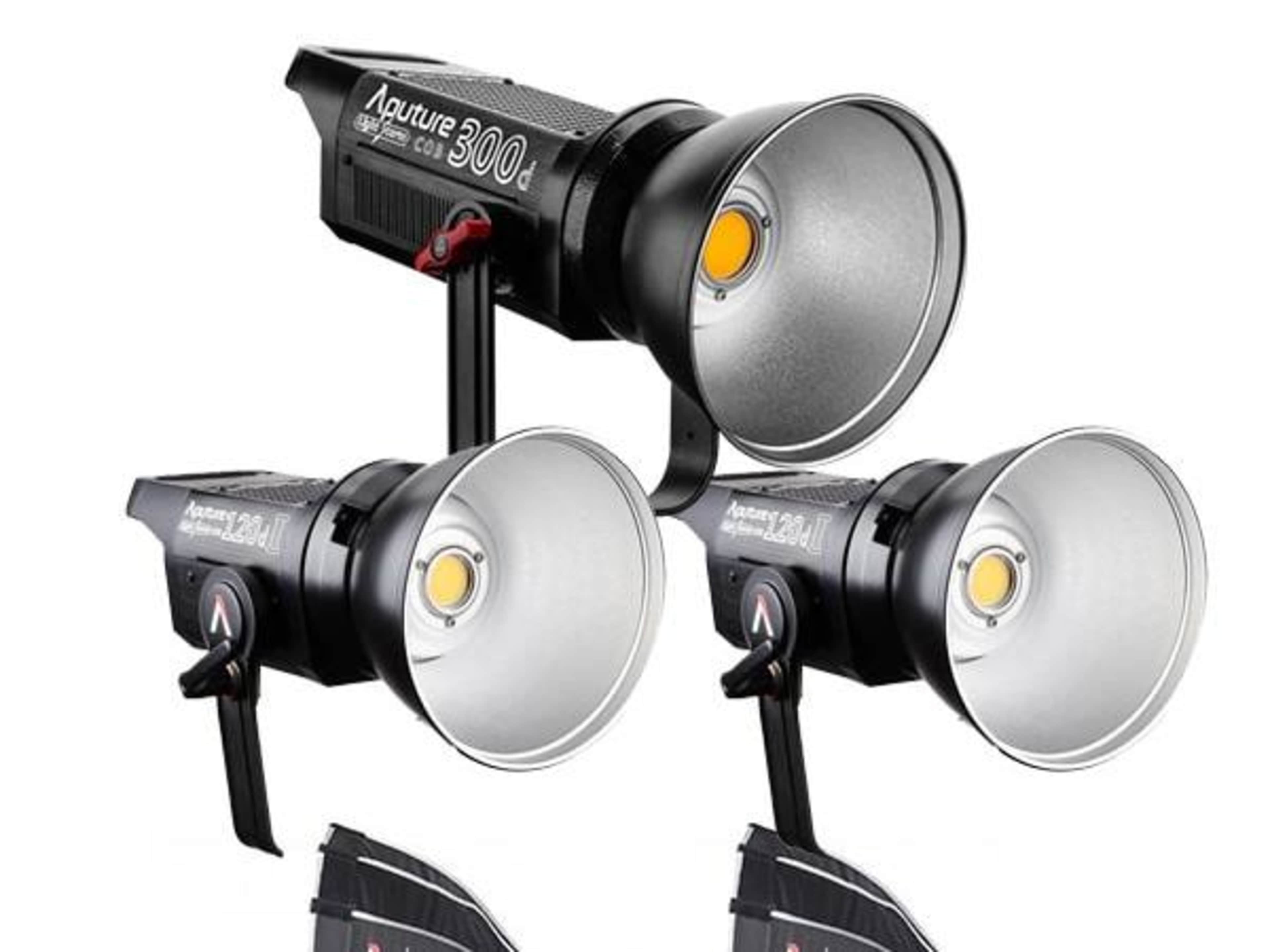 3-Point Lighting Kit & Assistant