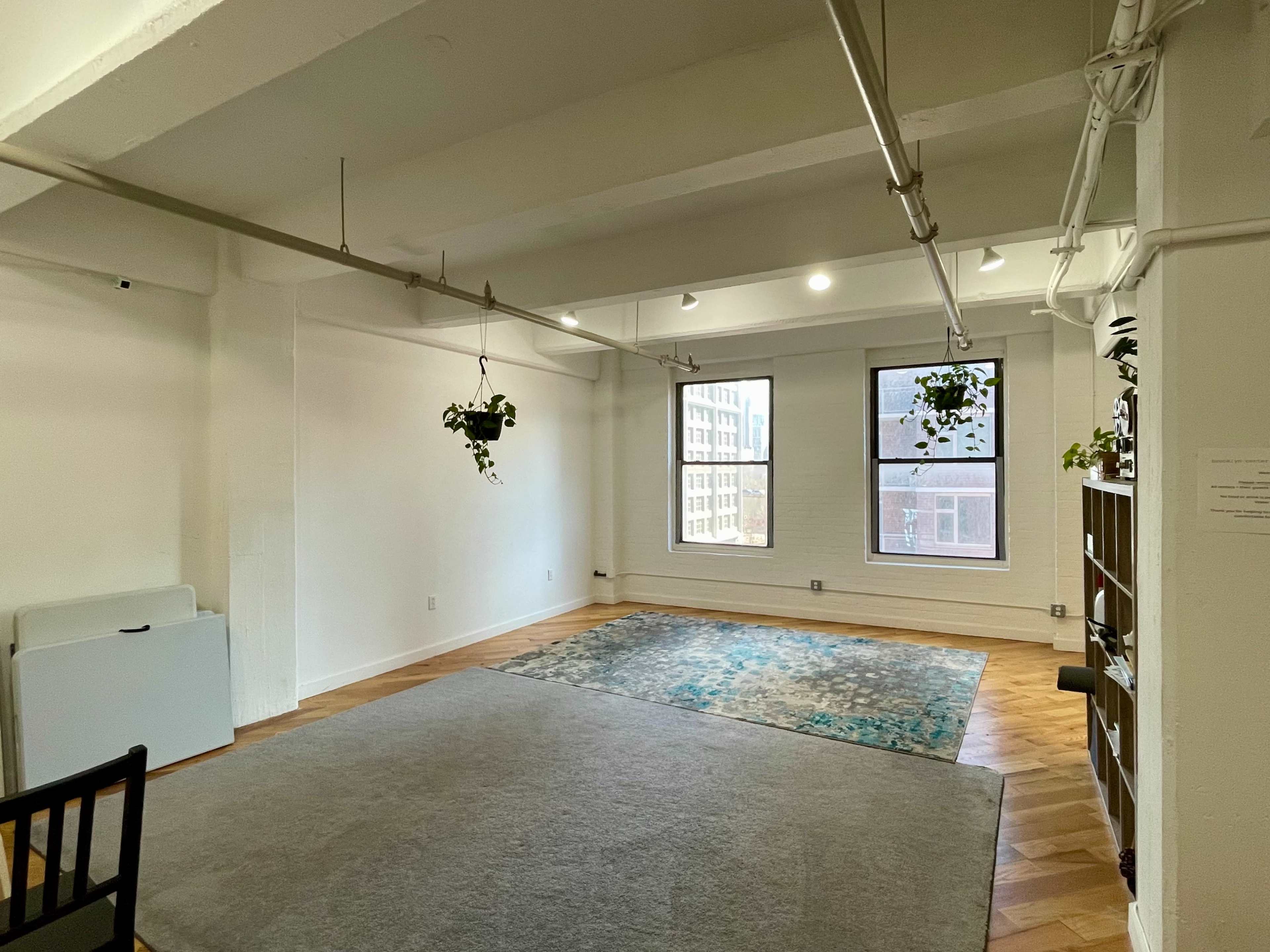 The image shows a bright, spacious room with large windows, a gray rug on the wooden floor, and a few potted plants.