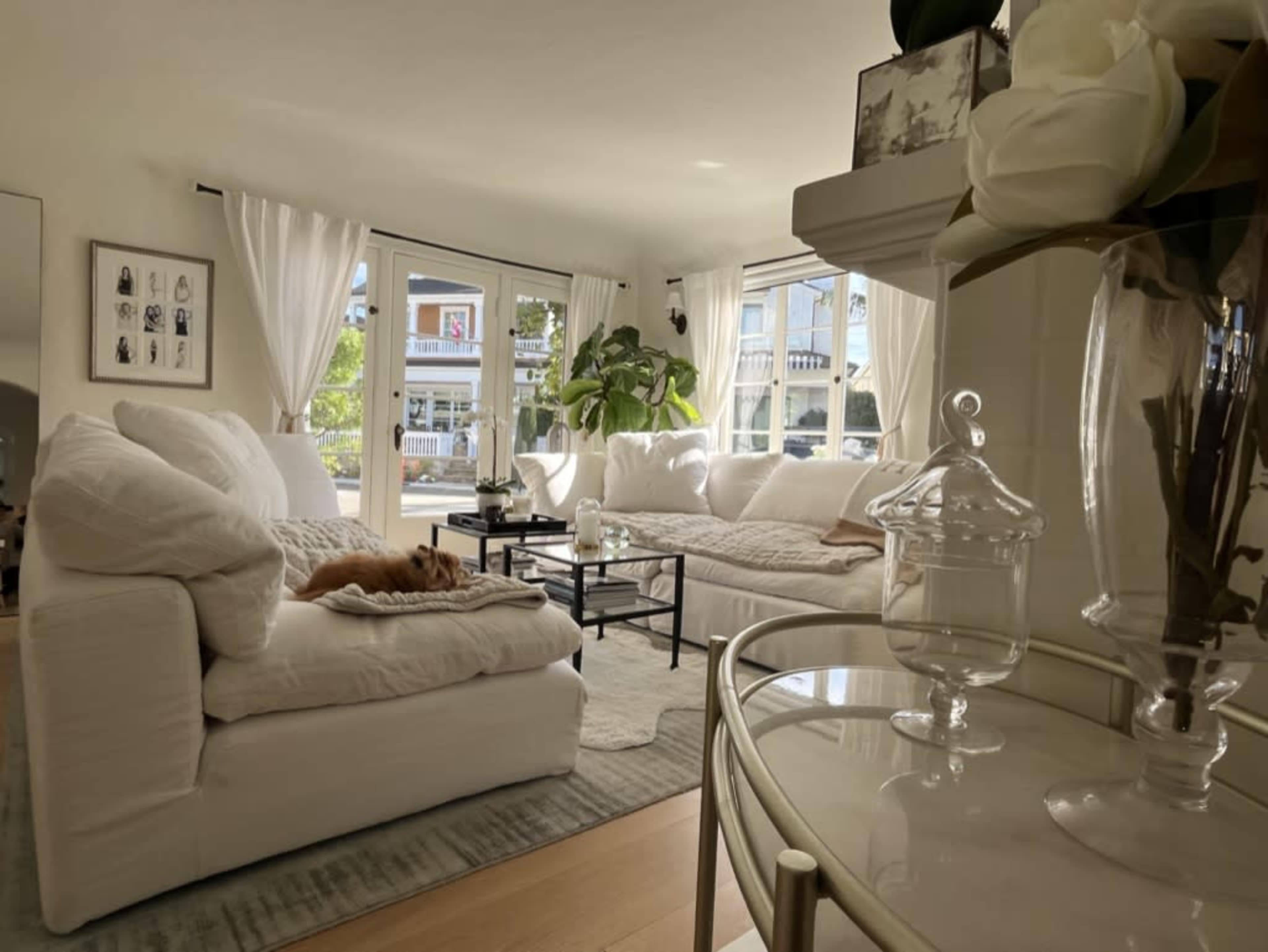 A bright living room features a large sectional sofa, a coffee table, and a potted plant, with soft natural light streaming through large windows.