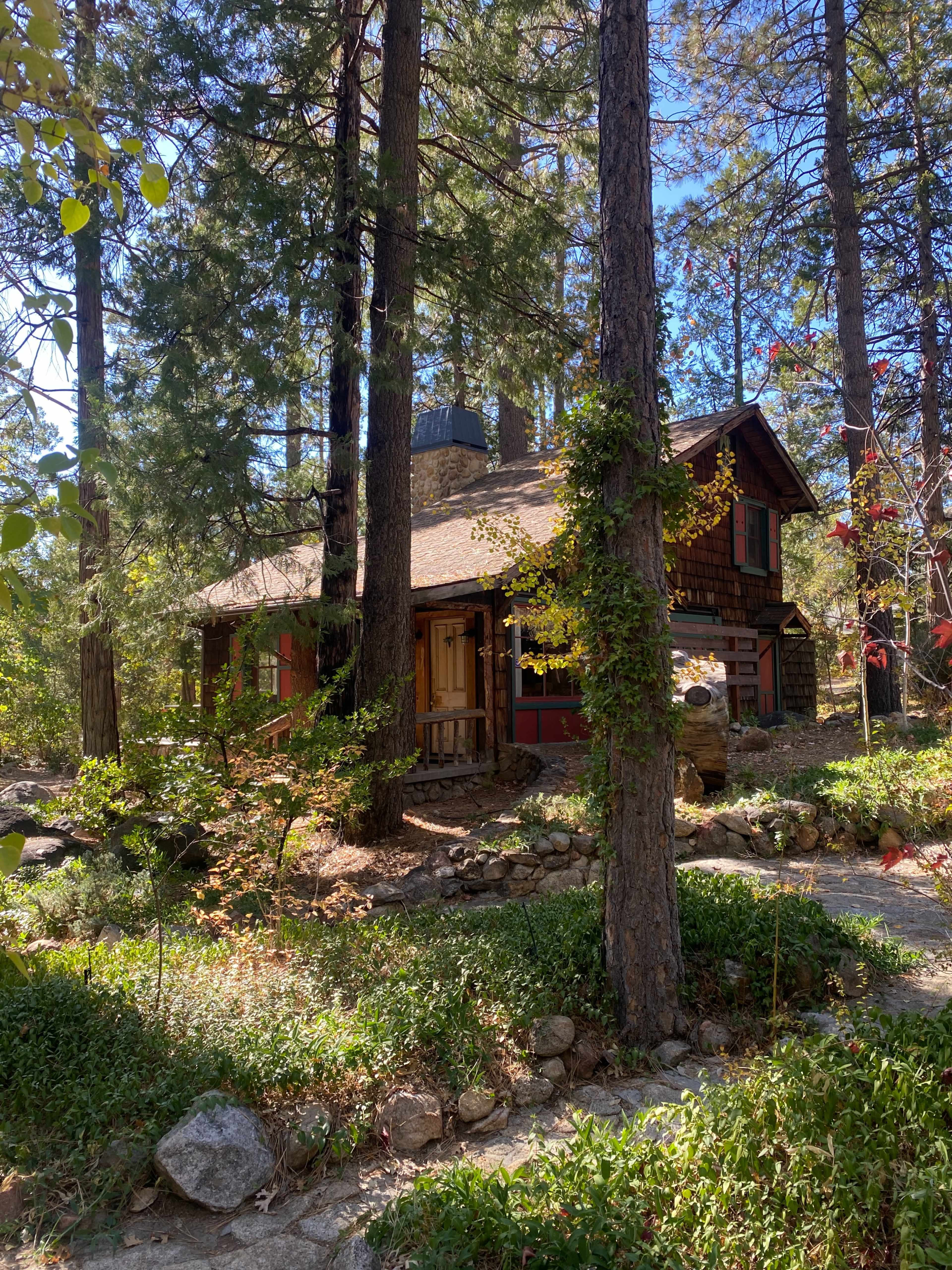 A wooden cabin with a steep roof is surrounded by tall trees and greenery.