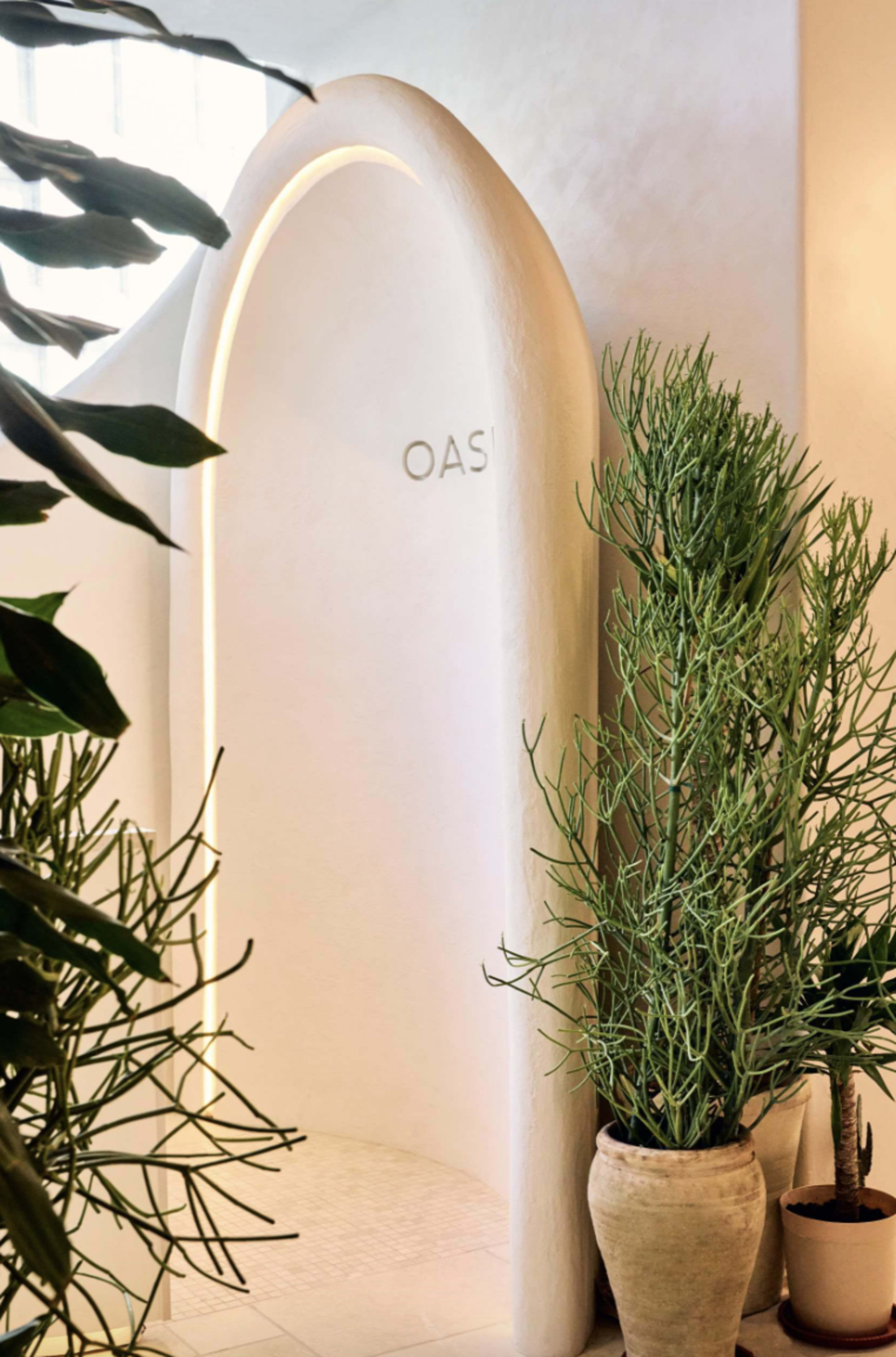 The image shows a minimalistic arched entrance with the word "OASIS" illuminated above, flanked by tall green plants in decorative pots.